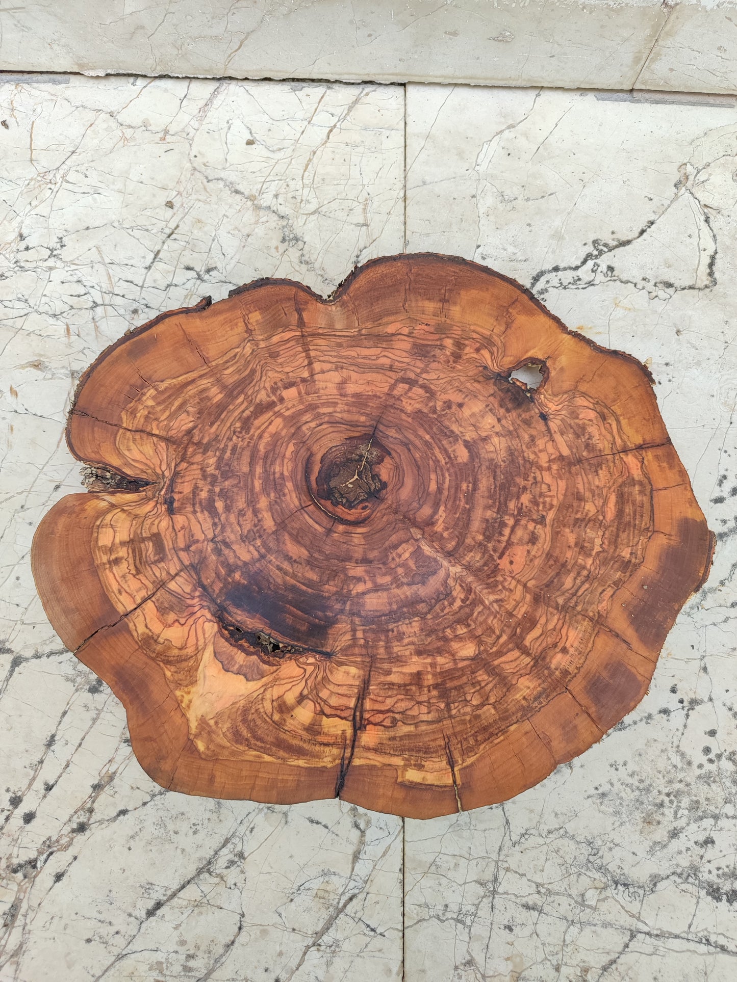 Rare Olive Wood Slab - Live Edge Premium Natural Luster - Sustainable Luxury, Unique Grain, 33x40x2.5 cm
