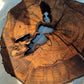 Rare Olive Wood Slab – Live Edge, Unique Grain, Sustainable Luxury for Epoxy & Artisan Crafts (37x37x2.5 cm)