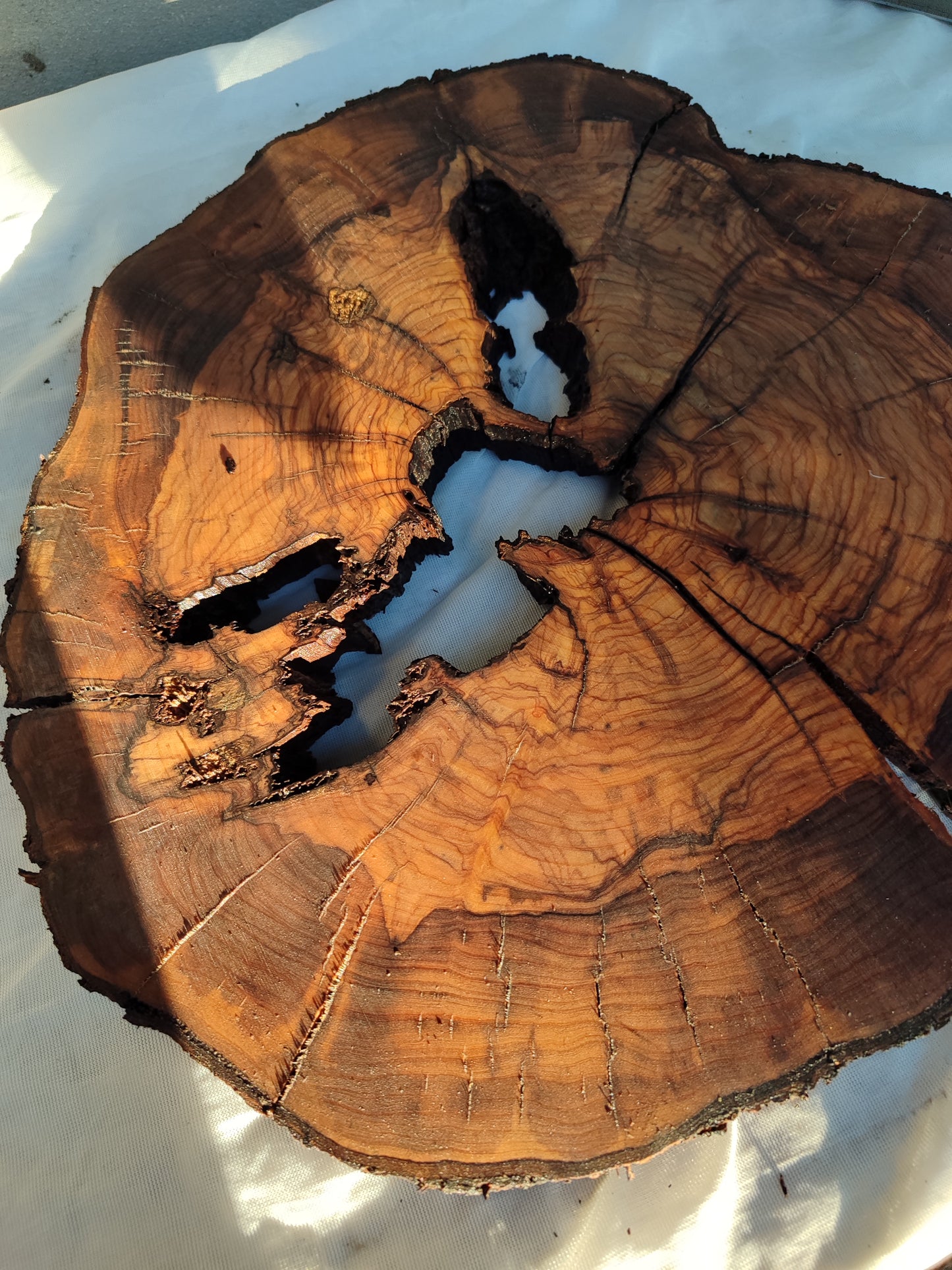 Rare Olive Wood Slab – Live Edge, Unique Grain, Sustainable Luxury for Epoxy & Artisan Crafts (37x37x2.5 cm)