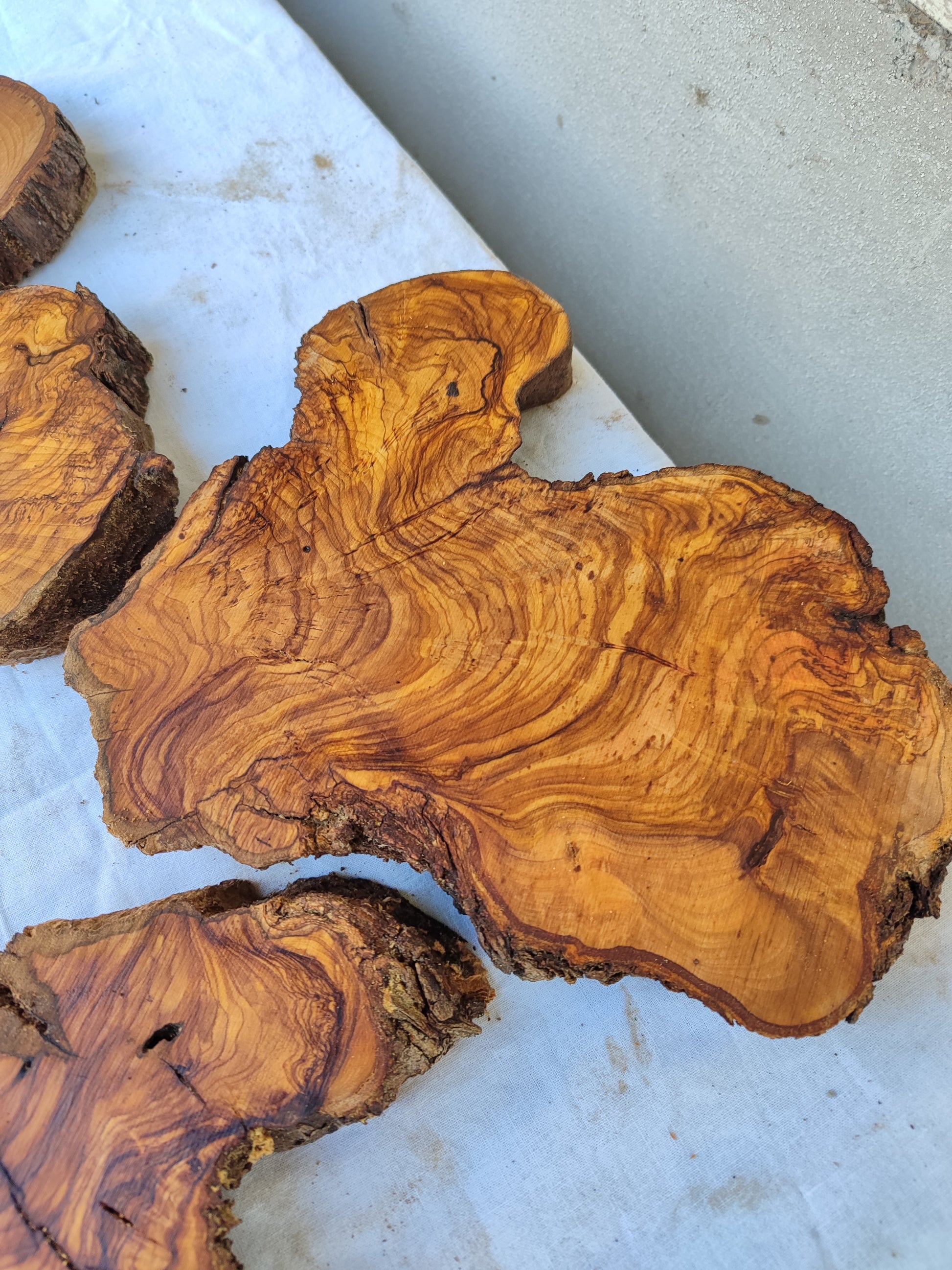 Rare Olive Wood Slab 51x53cm | Premium Live Edge for Epoxy Resin, Clock, Guitar Body | Ultra Dry Sustainable Luxury DIY Lumber.