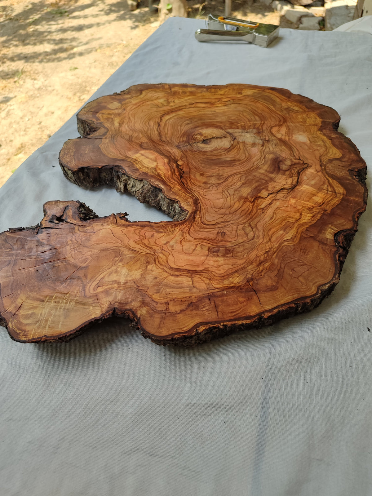 Live Edge Olive Wood Slab 39x53cm Epoxy Resin Coffee Table