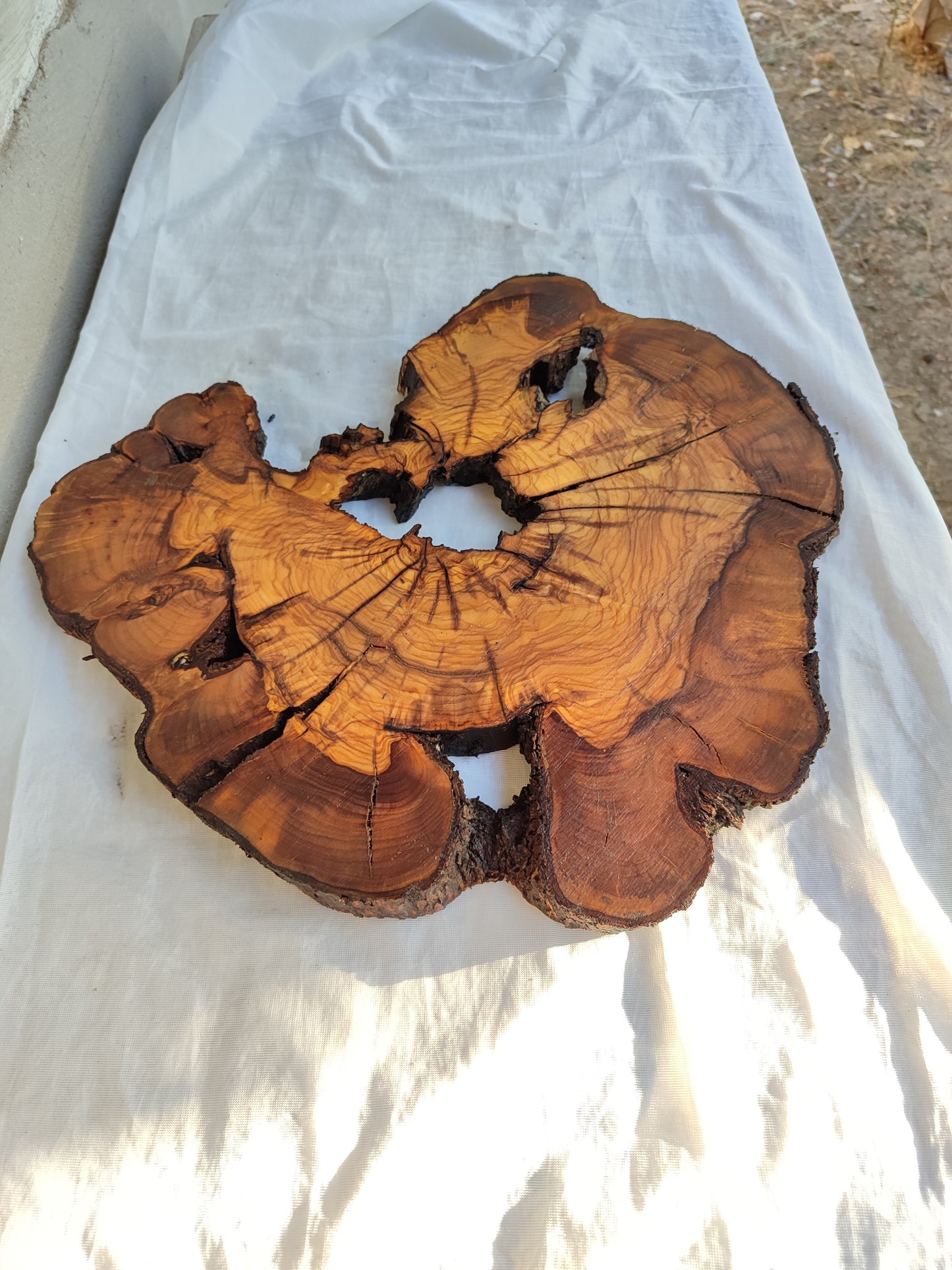 Rare Olive Wood Slab – Live Edge, Unique Grain, Sustainable Luxury – 41x43x2.5 cm