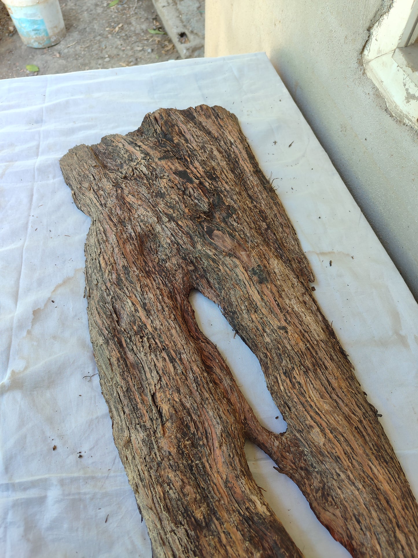 Rare Live Edge Olive Wood Slab – Unique Grain, Sustainable Luxury for Epoxy, Table & Crafts