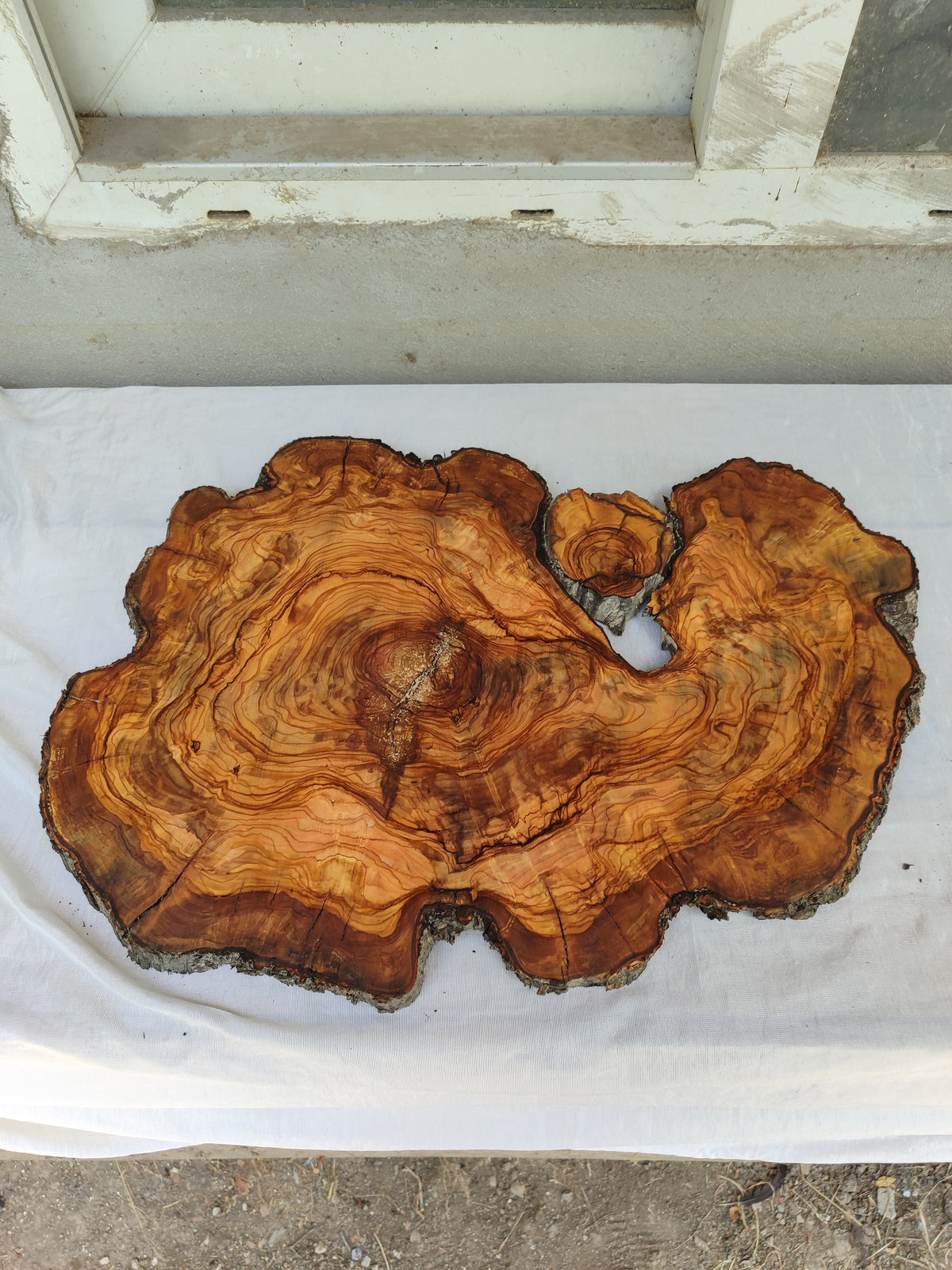 Epoxy Resin Olive Wood Slab Live Edge 37x50cm Coffee Table