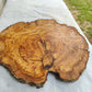 Rare Olive Wood Live Edge Slab – 42x43x2.5 cm Unique Grain Sustainable Luxury Premium Natural Finish Epoxy Friendly