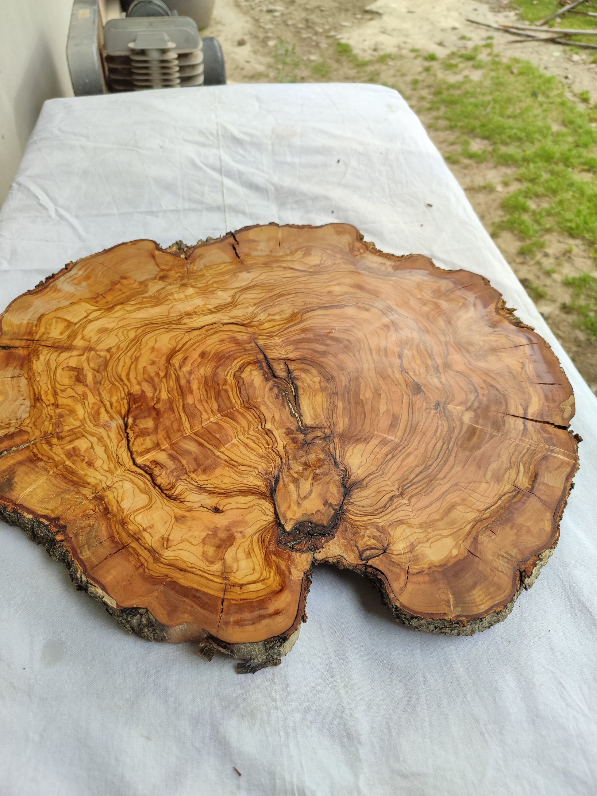 Rare Olive Wood Live Edge Slab – 42x43x2.5 cm Unique Grain Sustainable Luxury Premium Natural Finish Epoxy Friendly