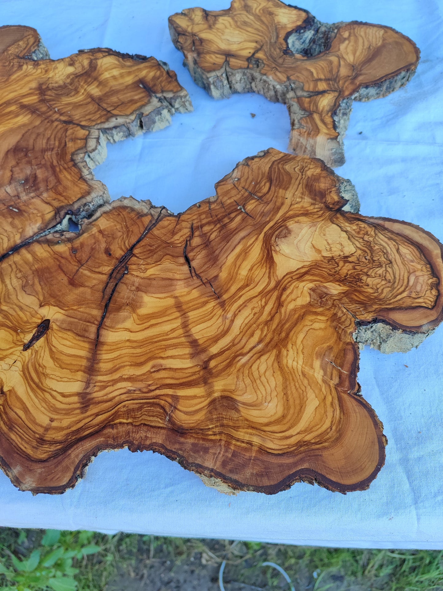 Rare Huge Live Edge Olive Wood Burl Slab 48x52cm - Premium Dry Exotic Lumber for Epoxy Resin Art, Guitar Body & Luxury Coffee Table DIY.