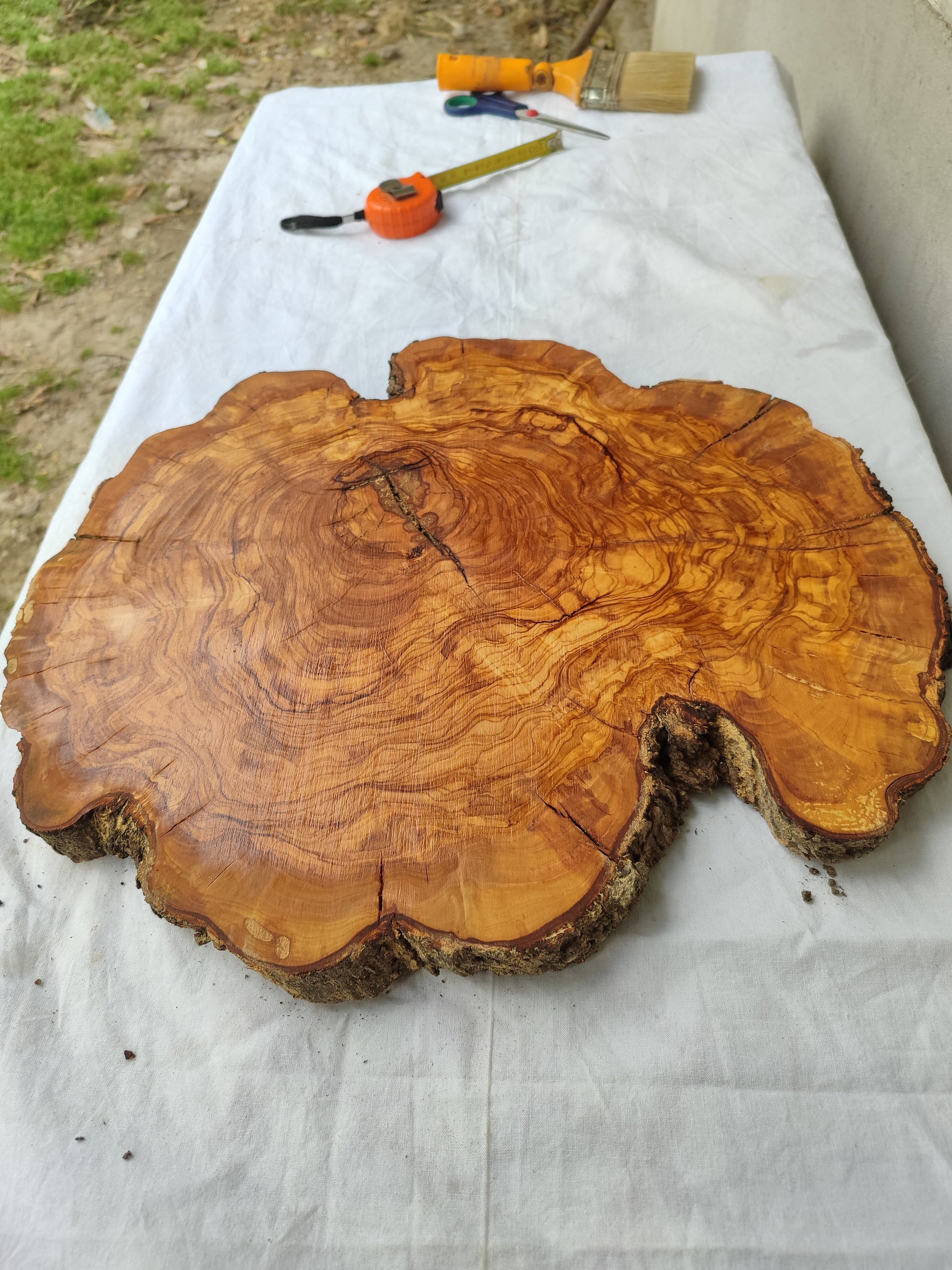 Rare Olive Wood Live Edge Slab – 40x44x2.5cm Unique Grain Sustainable Luxury - Olive Generic