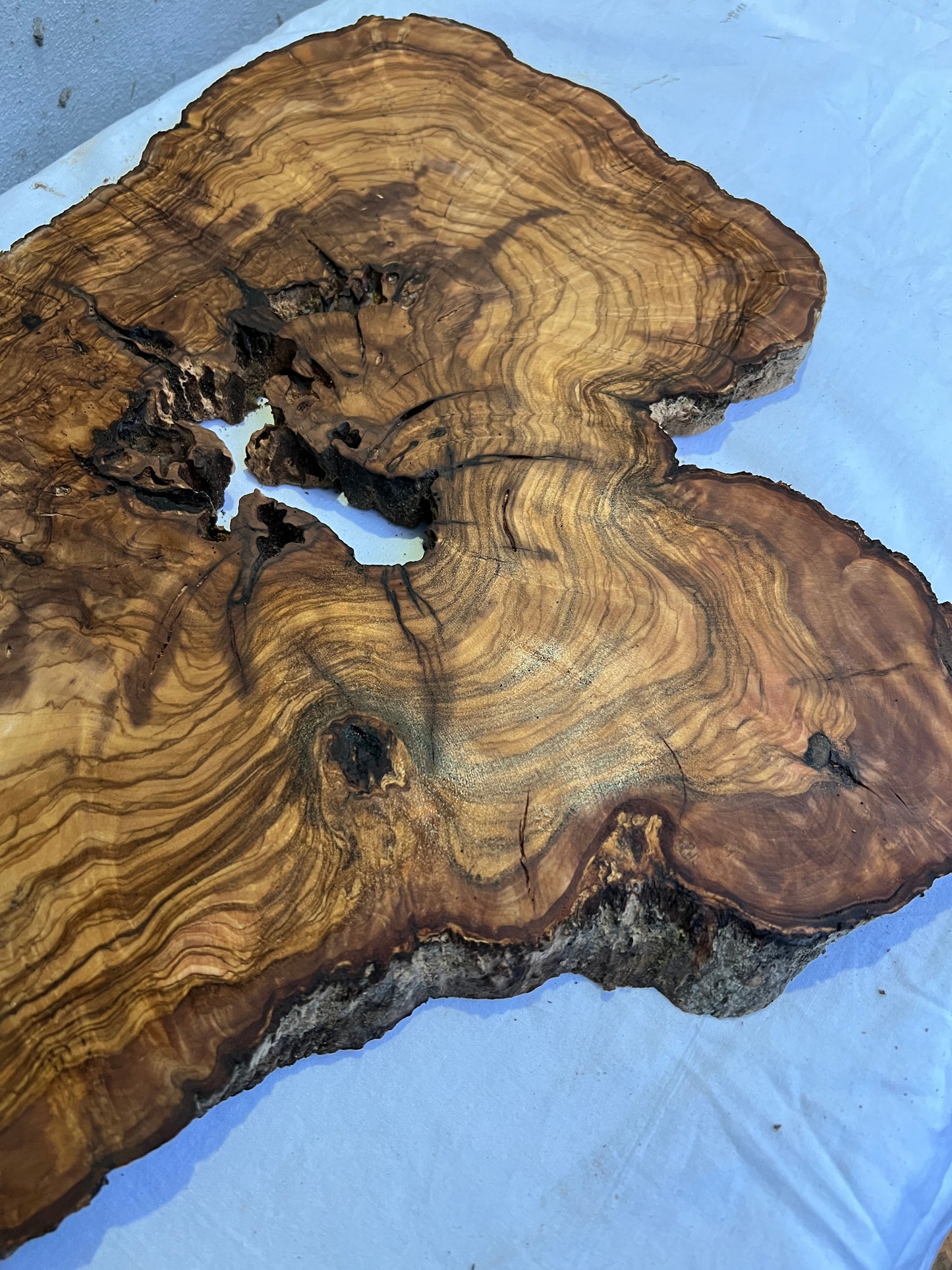 Rare Live Edge Olive Wood Slab 41x65cm | Unique Grain for Epoxy Resin, Luthier & Luxury Decor | Sustainable Premium DIY Material.