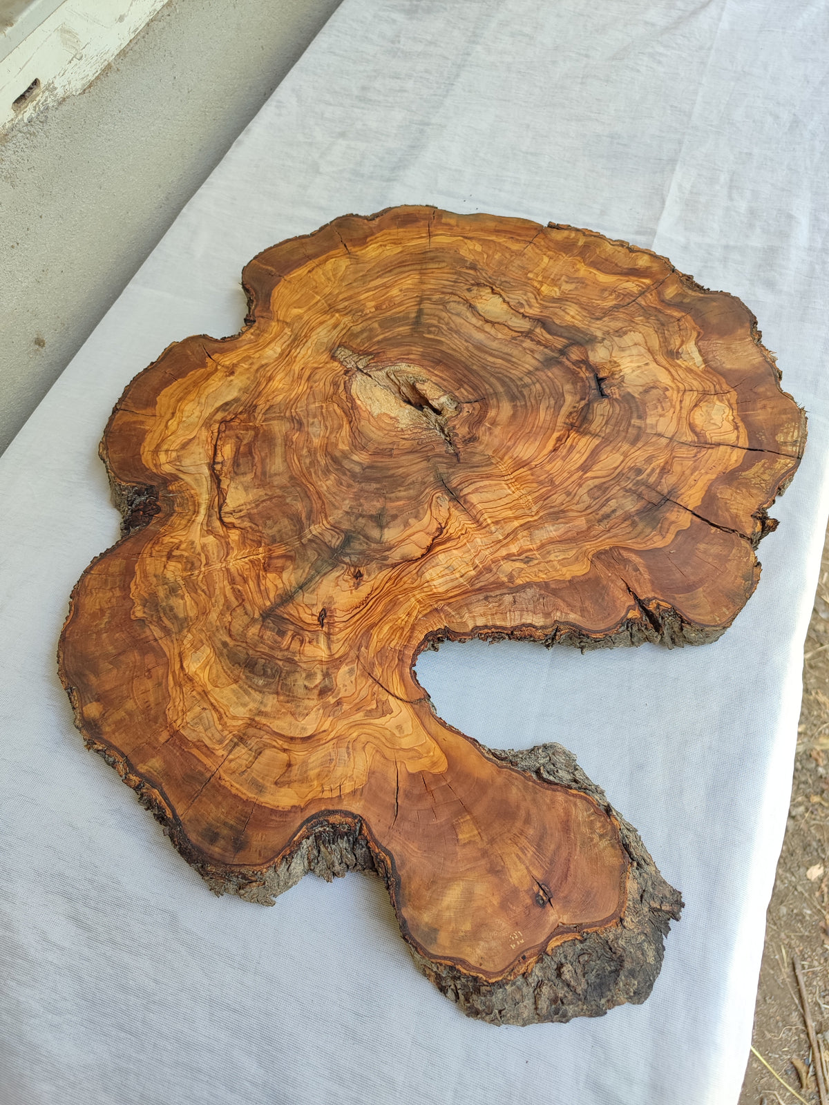 Live Edge Olive Wood Slab 38x46cm Epoxy Resin Coffee Table