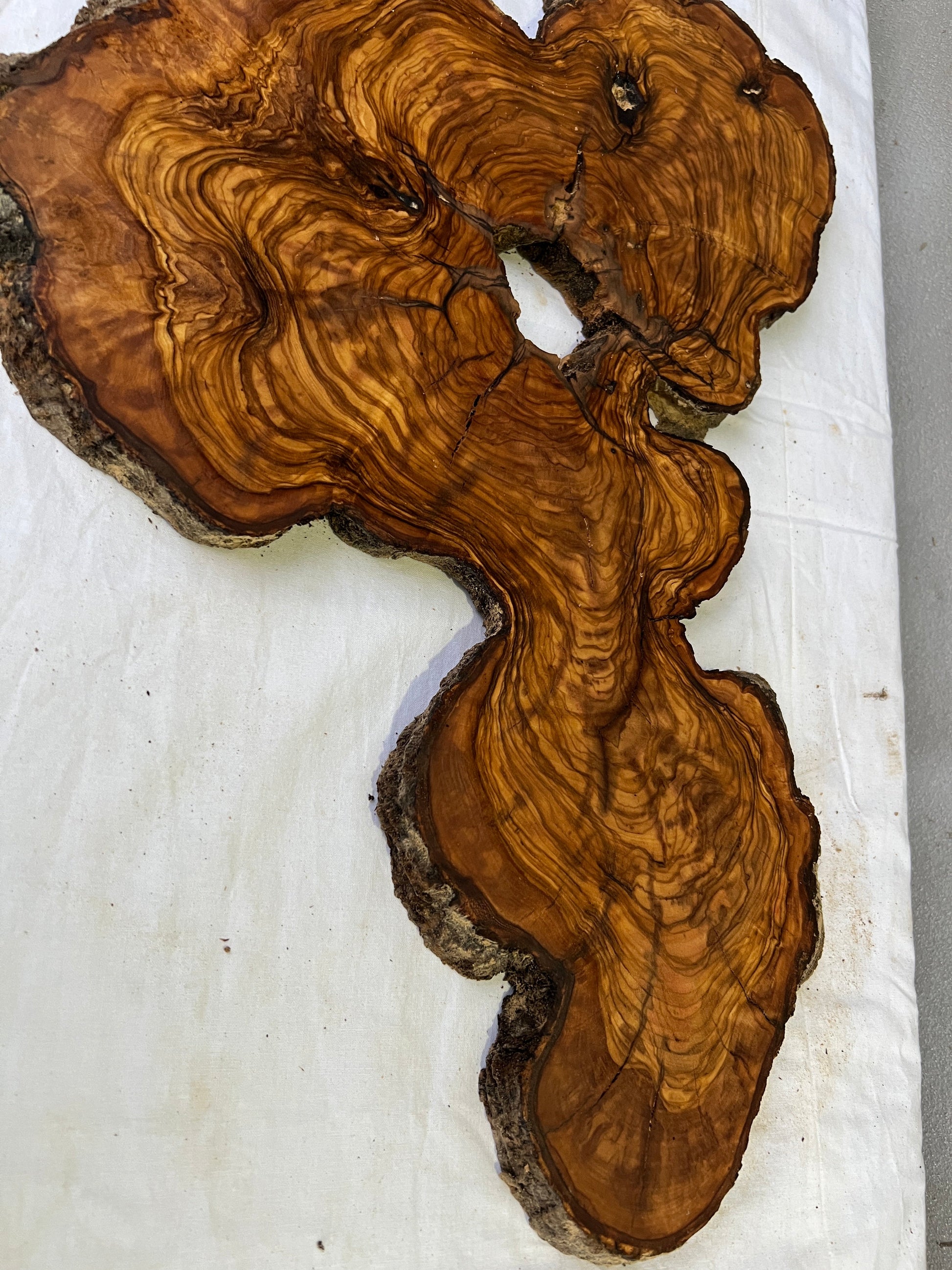 Rare Olive Wood Slab 31x55cm for Epoxy Resin & Guitar Body | Live Edge Sustainable Luxury | Unique Grain Luthier Wood | Super Dry DIY Art.