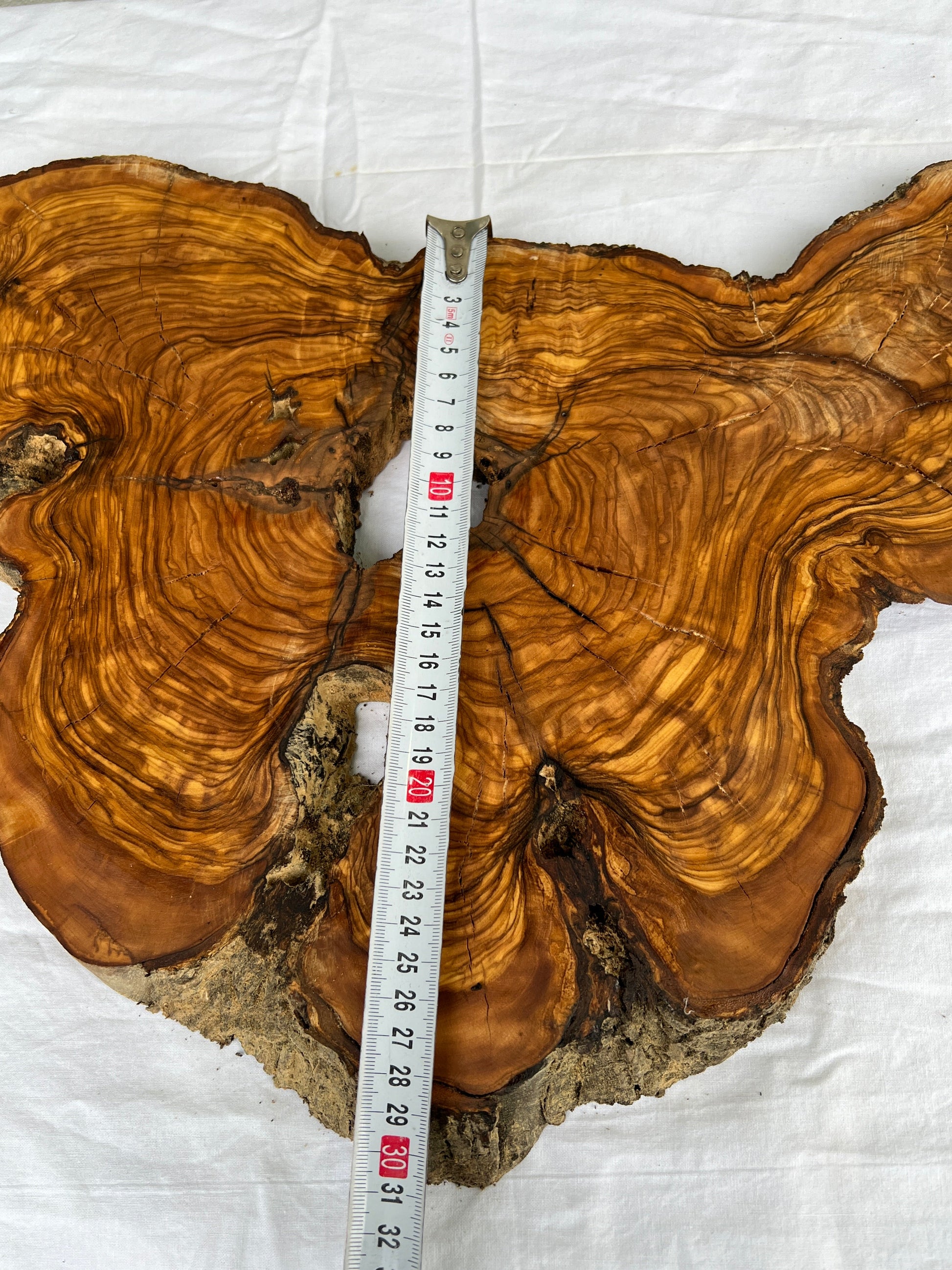 Rare Olive Wood Slab 53x30cm Live Edge for Epoxy Resin Art, Luxury Coffee Table & Clock Making | Super Dry 3% Moisture Unique Grain DIY.