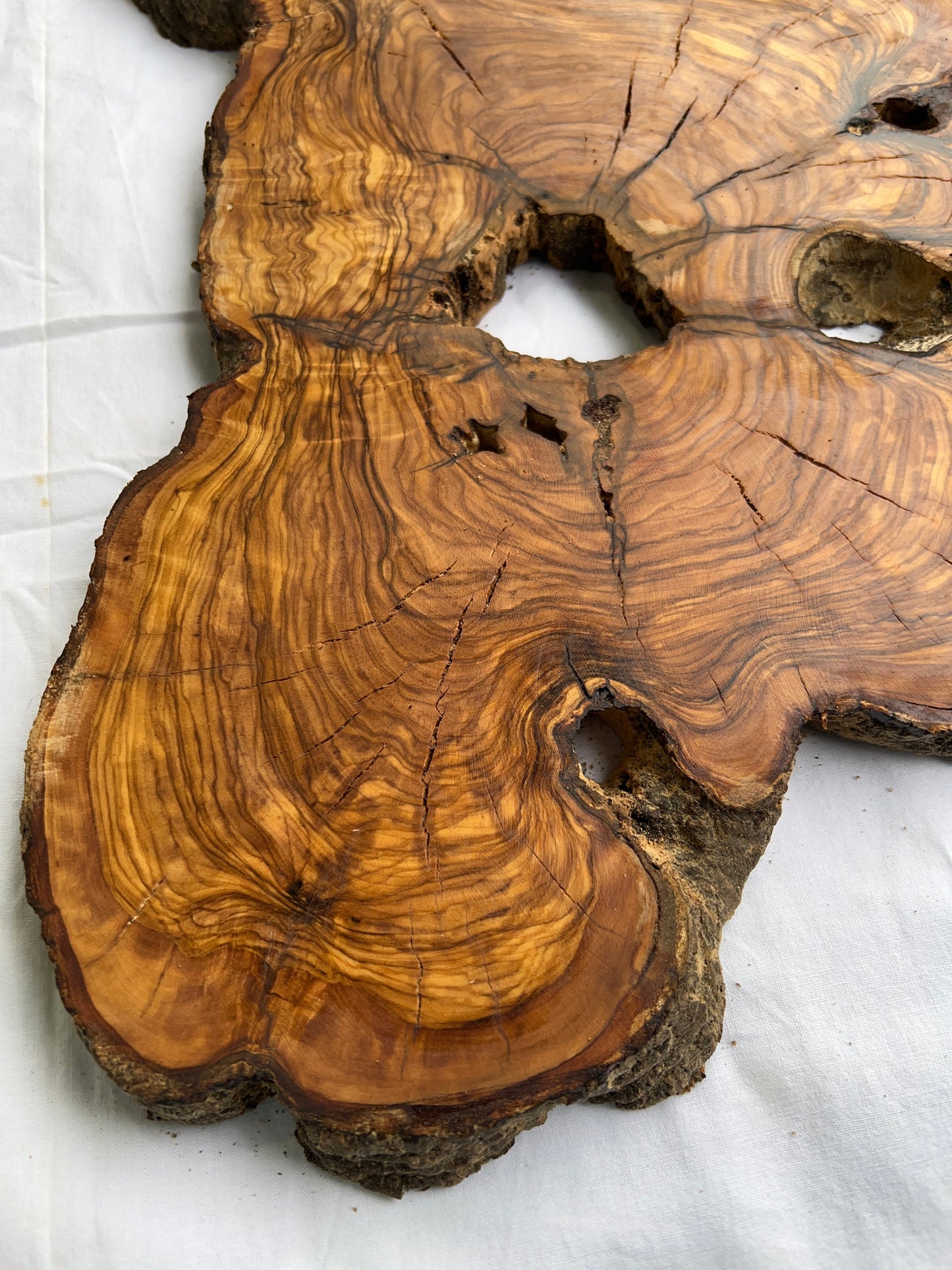 Rare Olive Wood Slab 53x30cm Live Edge for Epoxy Resin Art, Luxury Coffee Table & Clock Making | Super Dry 3% Moisture Unique Grain DIY.