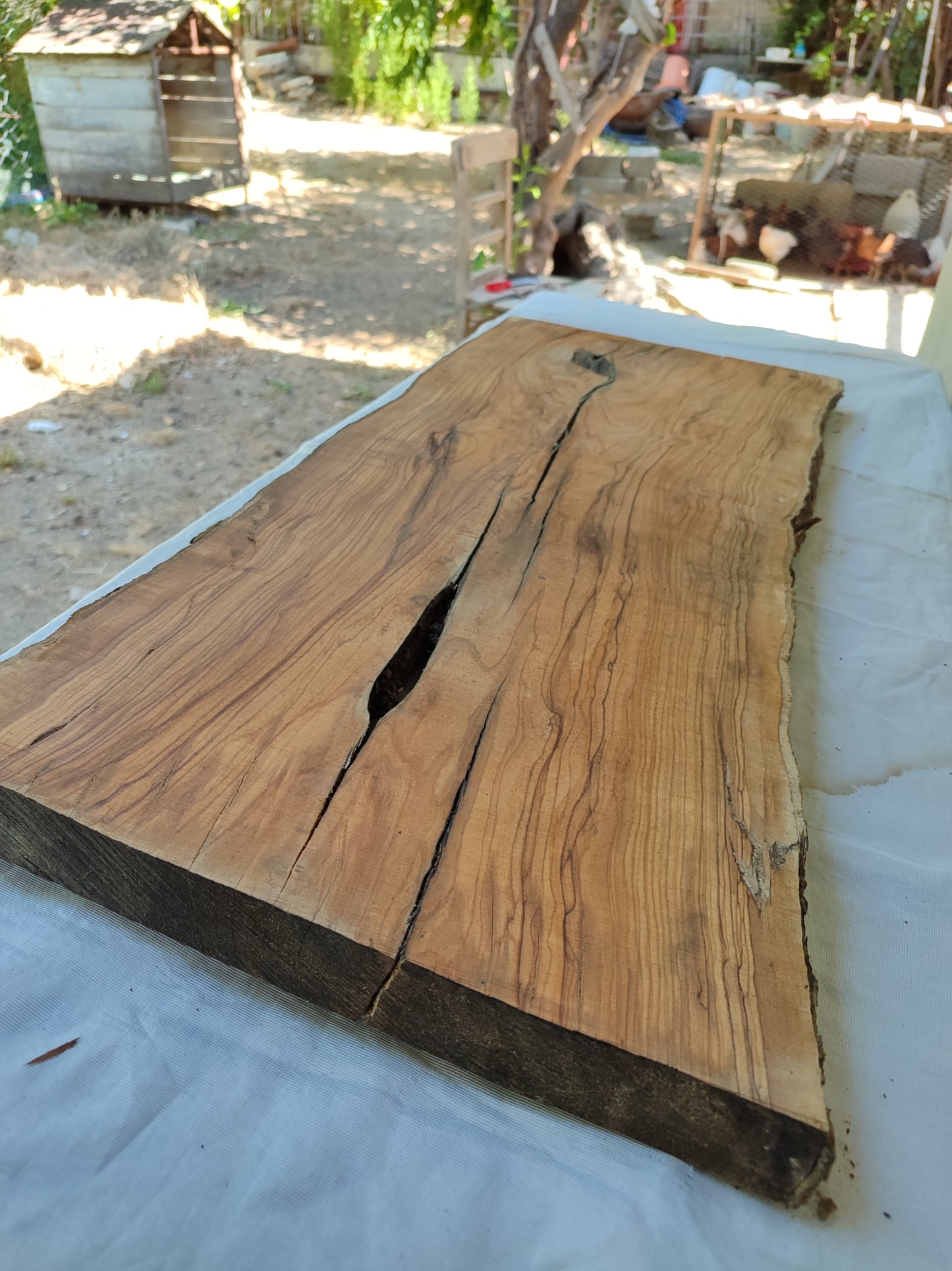 Rare Olive Wood Live Edge Slab – 31x78x3 cm, Unique Grain, Sustainable Luxury