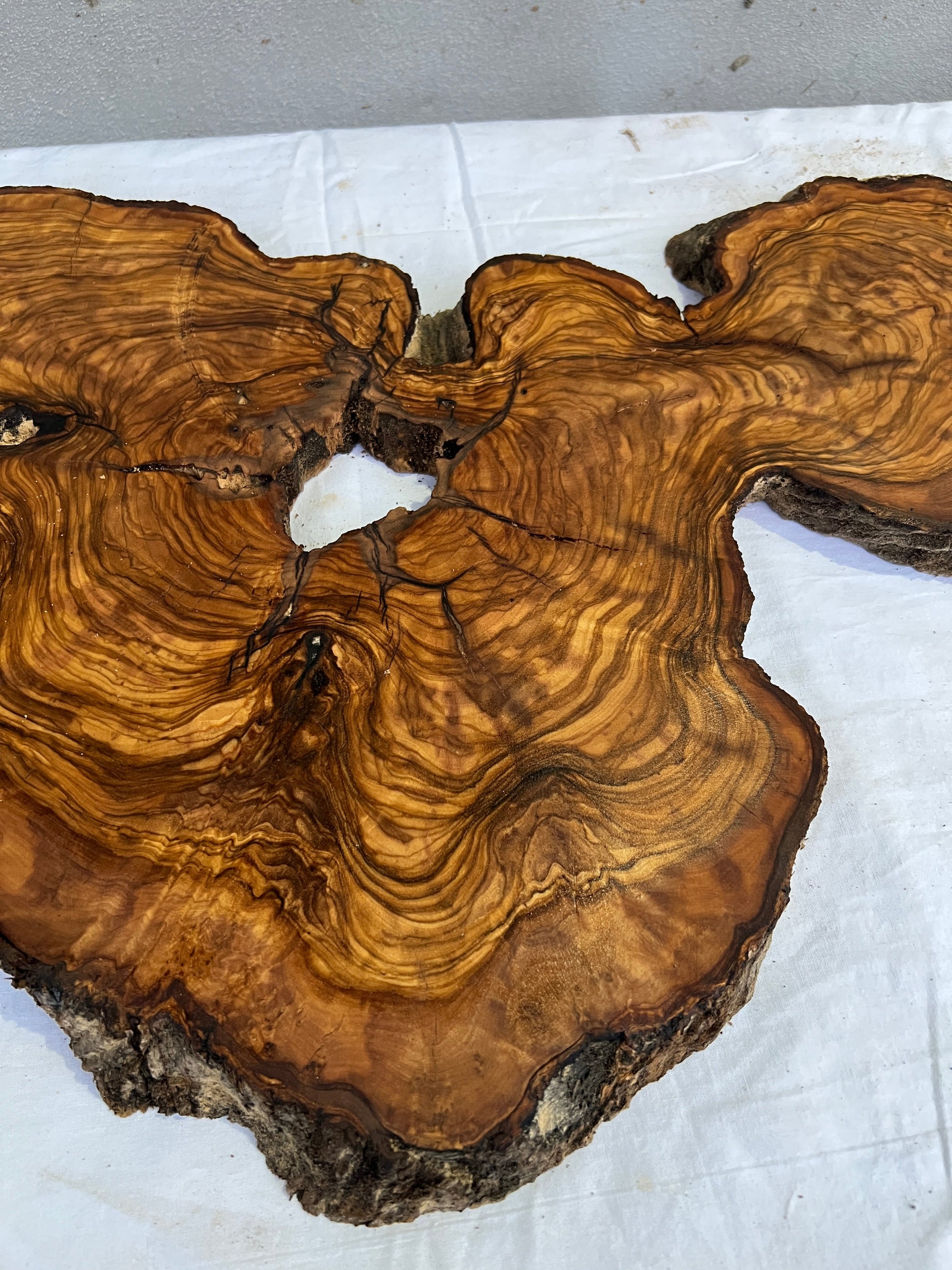 Rare Olive Wood Slab 31x55cm for Epoxy Resin & Guitar Body | Live Edge Sustainable Luxury | Unique Grain Luthier Wood | Super Dry DIY Art.