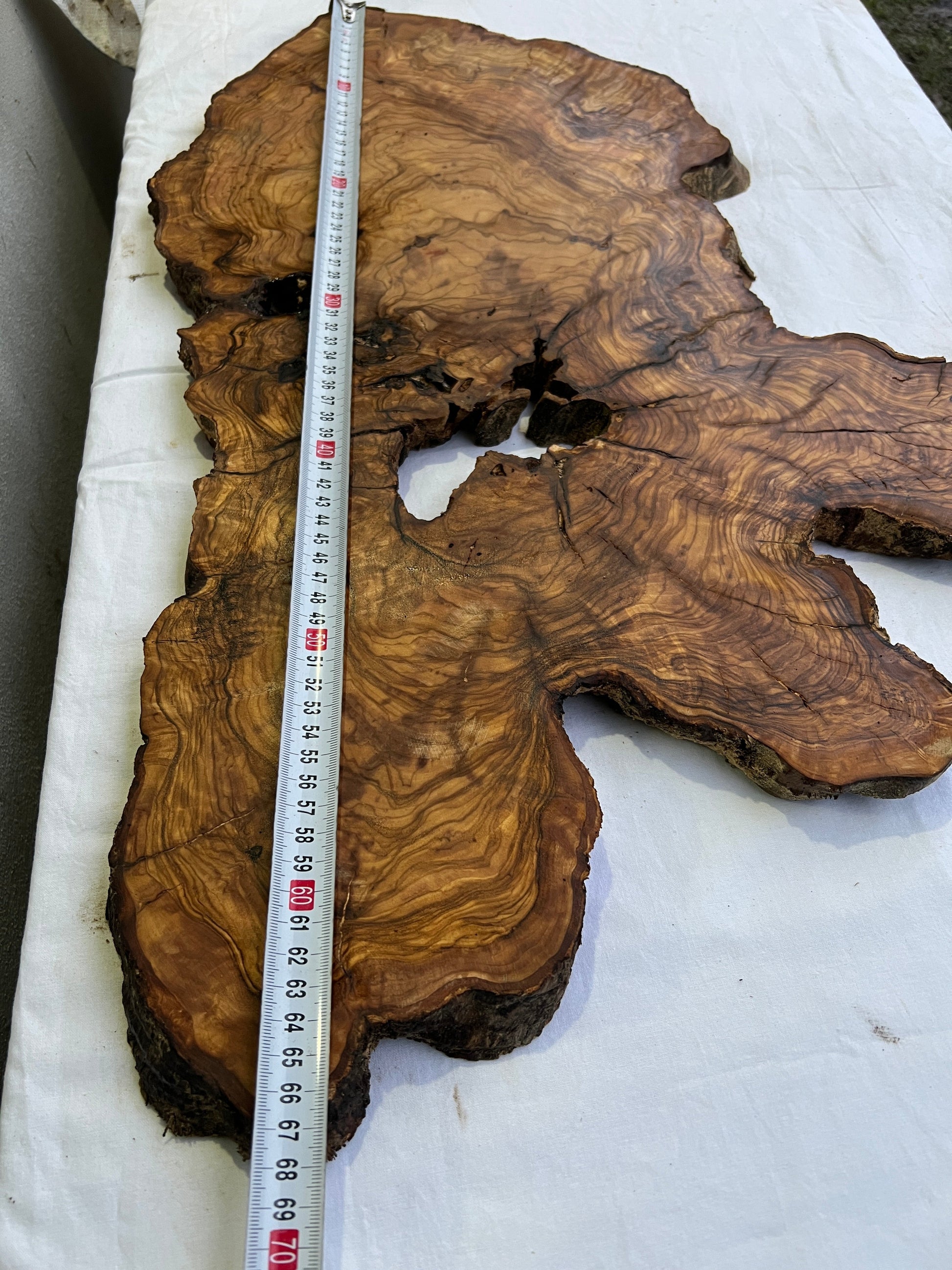 Rare Olive Wood Slab 43x66cm | Live Edge for Epoxy Resin & Coffee Table | Premium Dry Luthier Wood | Unique Grain Sustainable Luxury Art.