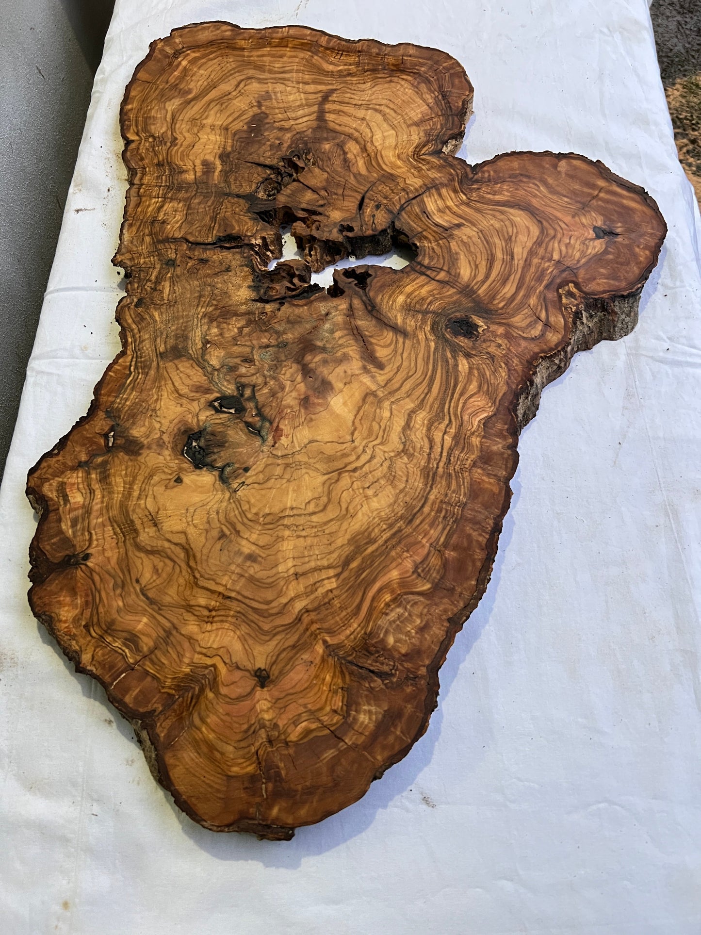 Rare Live Edge Olive Wood Slab 41x65cm | Unique Grain for Epoxy Resin, Luthier & Luxury Decor | Sustainable Premium DIY Material.