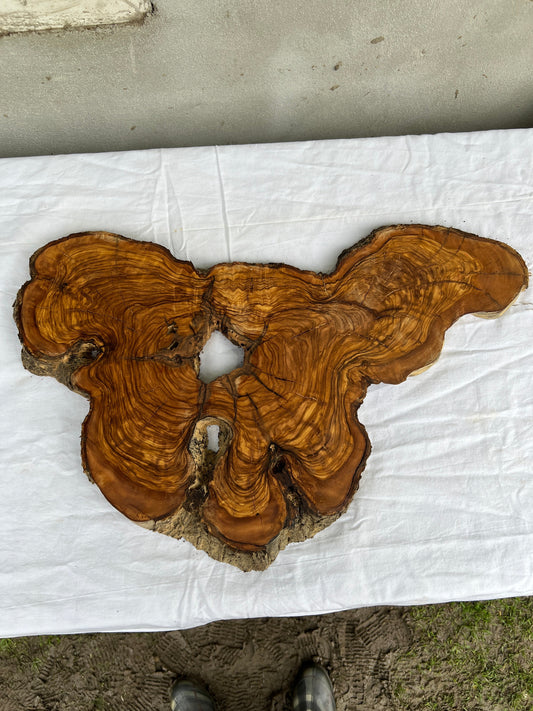 Rare Olive Wood Slab 53x30cm Live Edge for Epoxy Resin Art, Luxury Coffee Table & Clock Making | Super Dry 3% Moisture Unique Grain DIY.