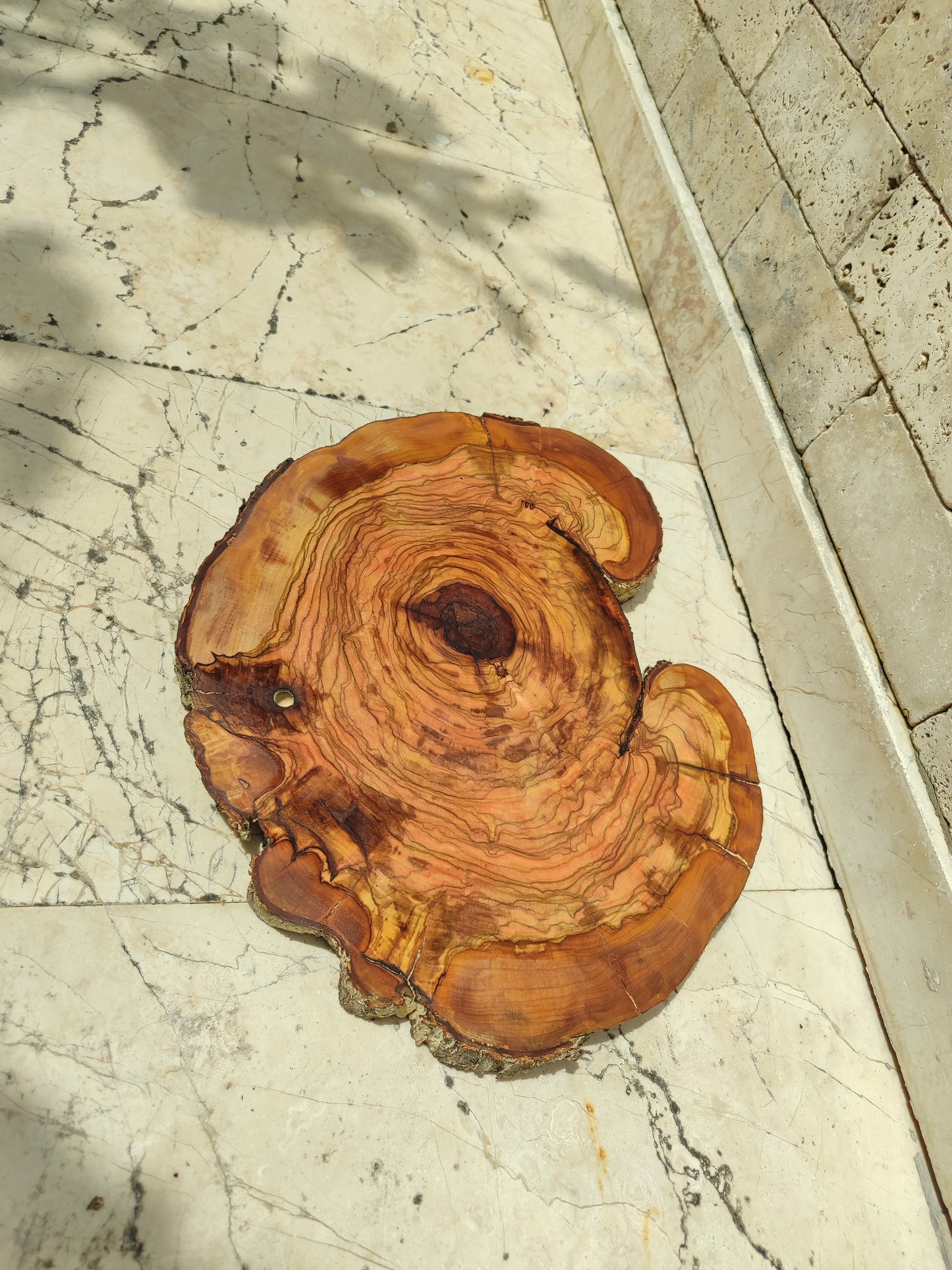 Rare Olive Wood Slab – Live Edge Slab, Unique Grain, Sustainable Luxury – 32x38x2.5 cm for Epoxy, Table & Craft