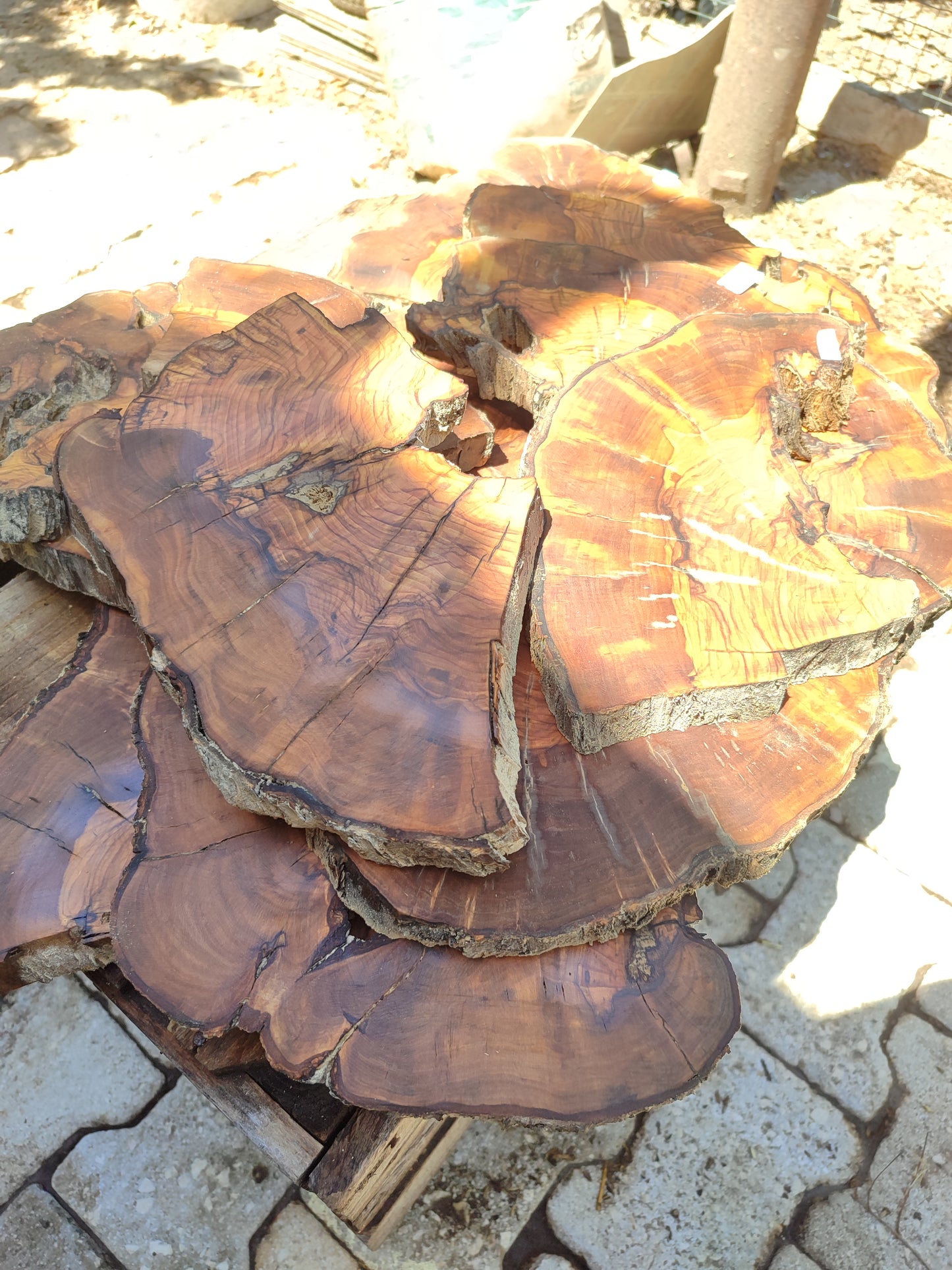 Wholesale Live Edge Olive Wood Slabs - Premium Sustainable Luxury, Unique Grain, 10x28x2.5cm for Epoxy & Crafts