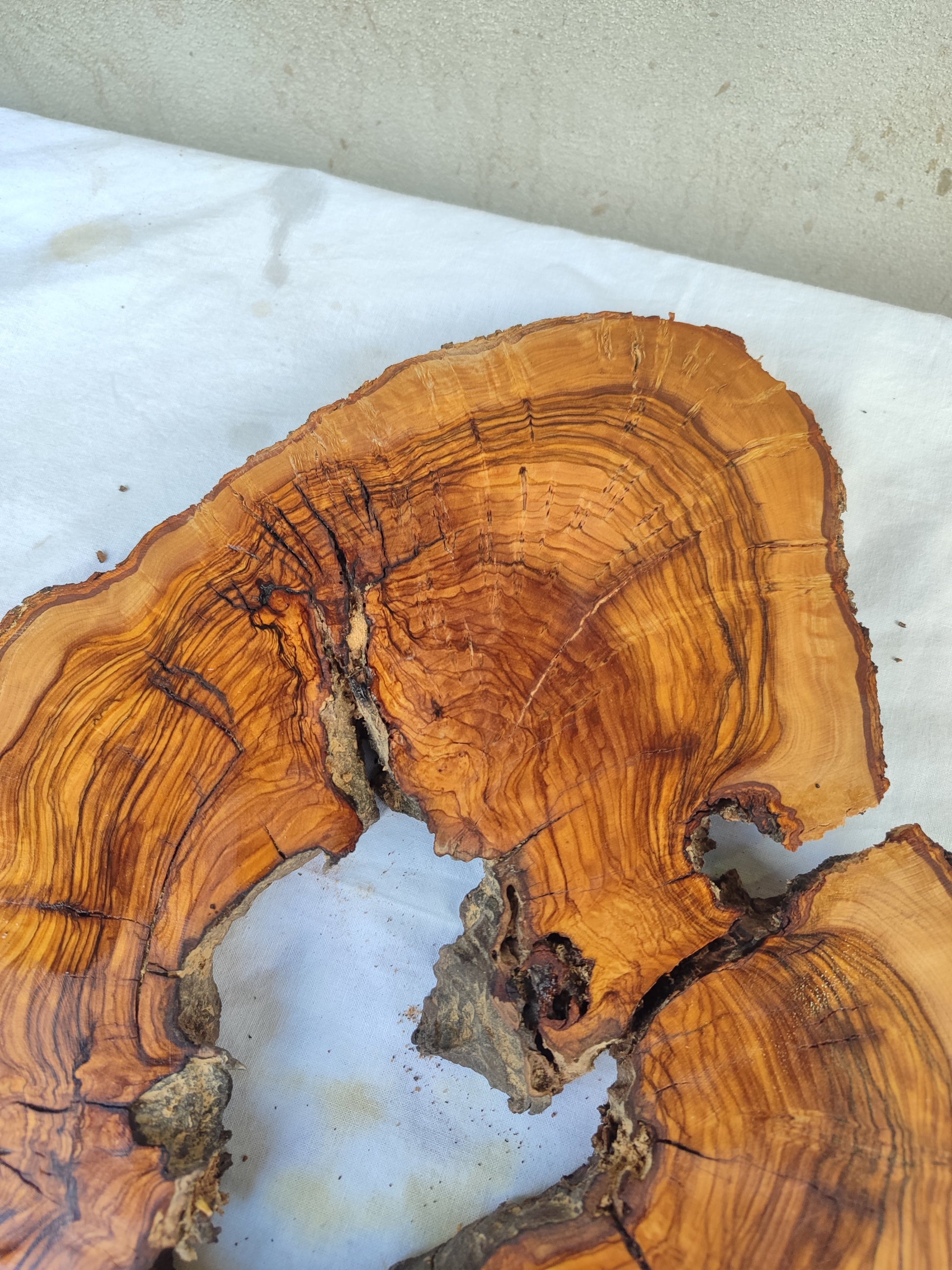 Rare Olive Wood Slab – Live Edge Unique Grain Sustainable Luxury – 29x39x3 cm Epoxy Friendly - Olive Generic