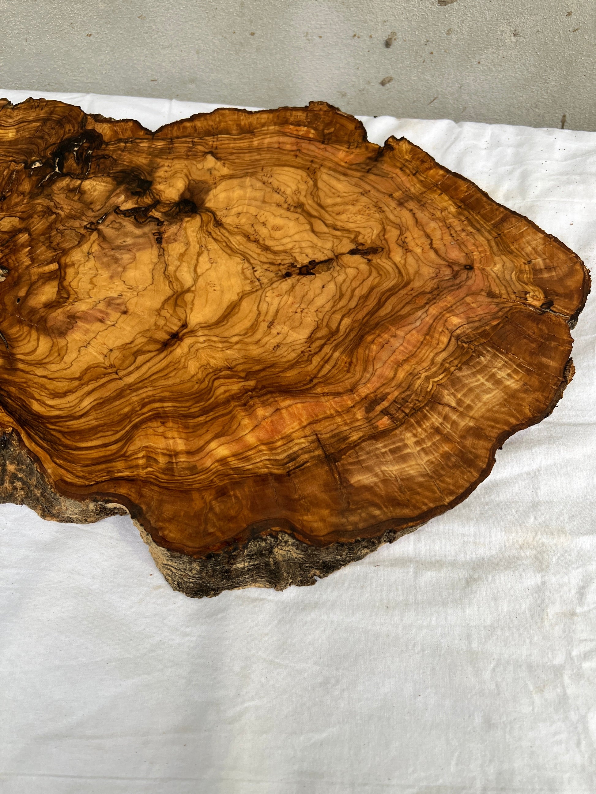 Rare Olive Wood Live Edge Slab 46x66cm - Super Dry Unique Grain for Epoxy Resin Art, Coffee Table & Luthier Craft - Sustainable Luxury.