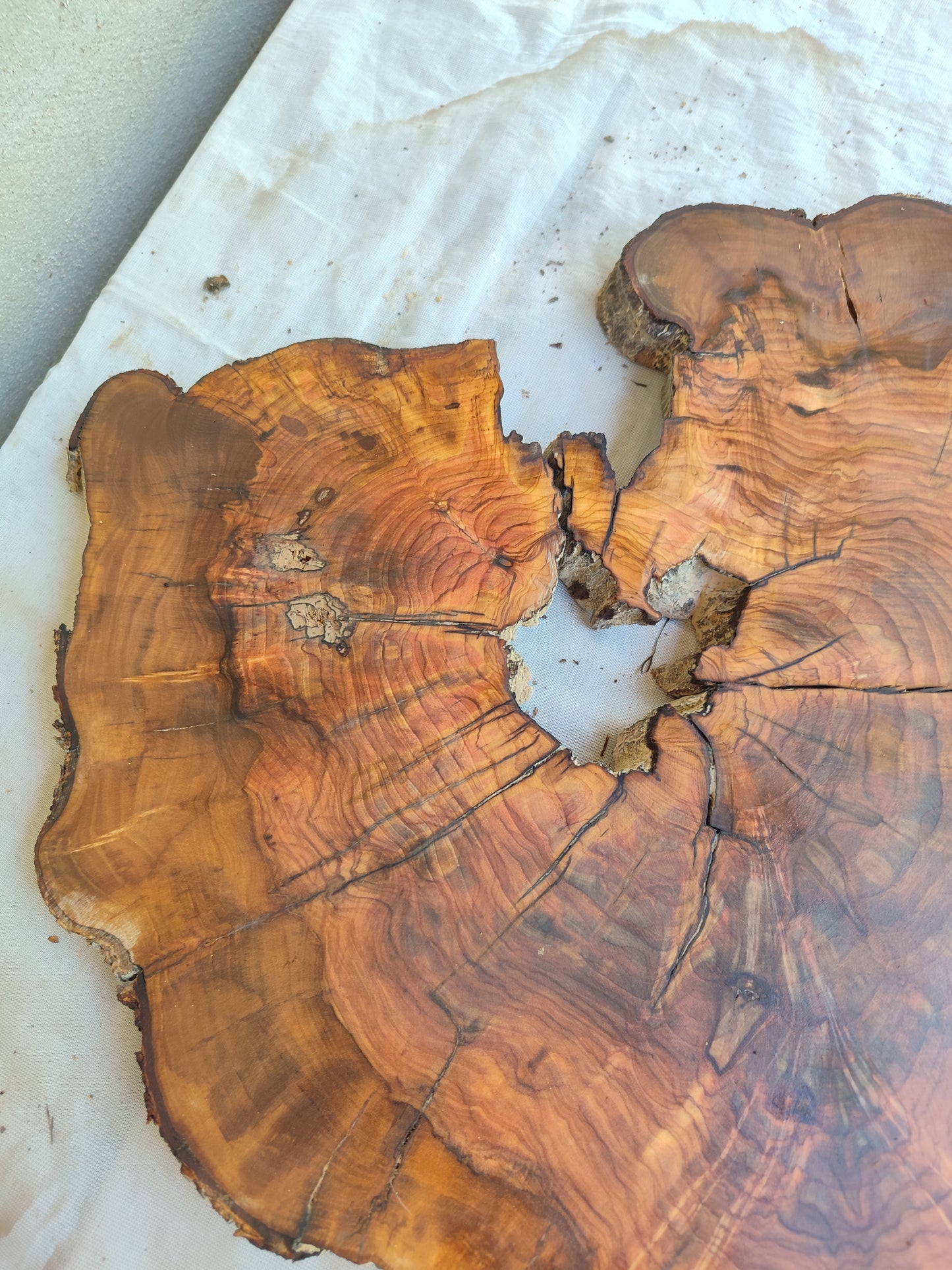 Rare Live Edge Olive Wood Slab – 37x43x2.5 cm, Natural Luster, Unique Grain, Sustainable Luxury for Epoxy & Art