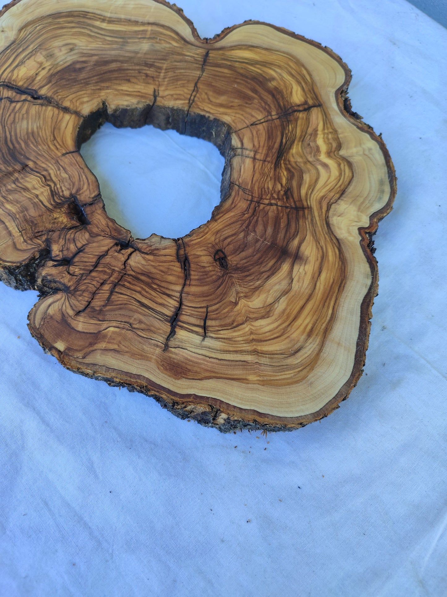 Rare Olive Wood Live Edge Slab 27x37cm | Super Dry 3% Moisture | Exotic Lumber for Epoxy Resin Luthier & Luxury Crafts