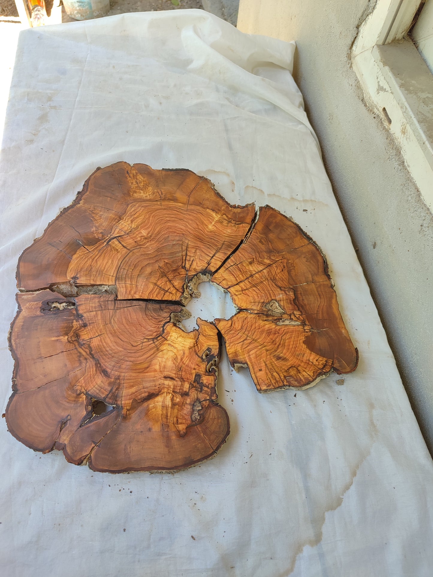 Rare Olive Wood Live Edge Slab – 37x40x2.5 cm, Unique Grain, Sustainable Luxury for Epoxy & Furniture