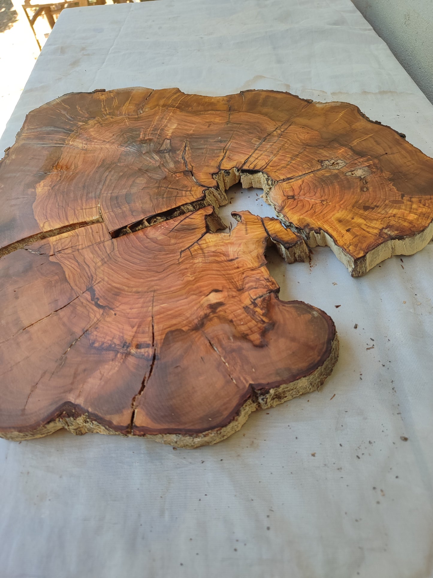 Rare Live Edge Olive Wood Slab – 37x43x2.5 cm, Natural Luster, Unique Grain, Sustainable Luxury for Epoxy & Art