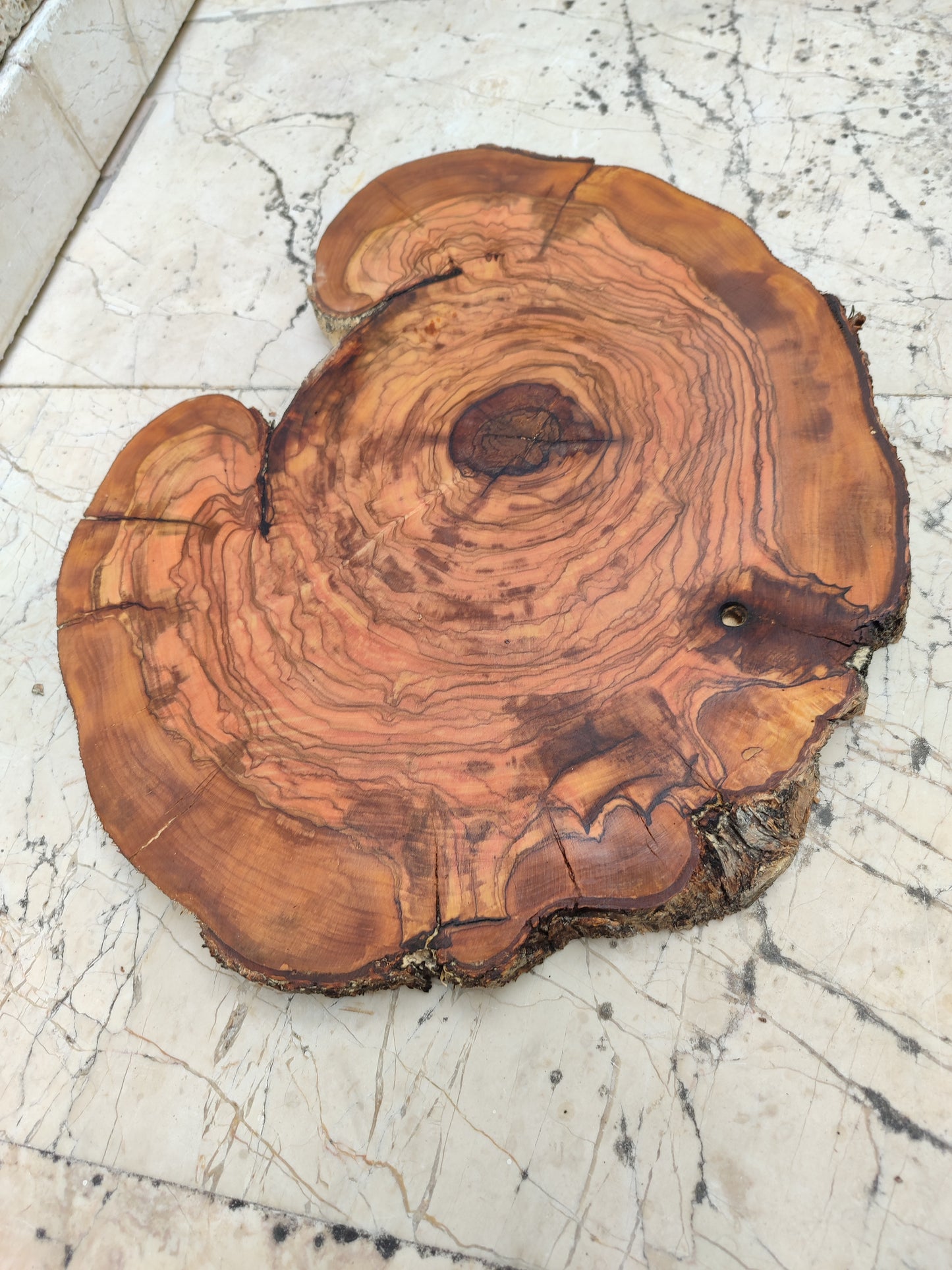 Rare Live Edge Olive Wood Slab – 33x40cm, Unique Grain, Natural Luster, Sustainable Luxury for Epoxy & Crafts
