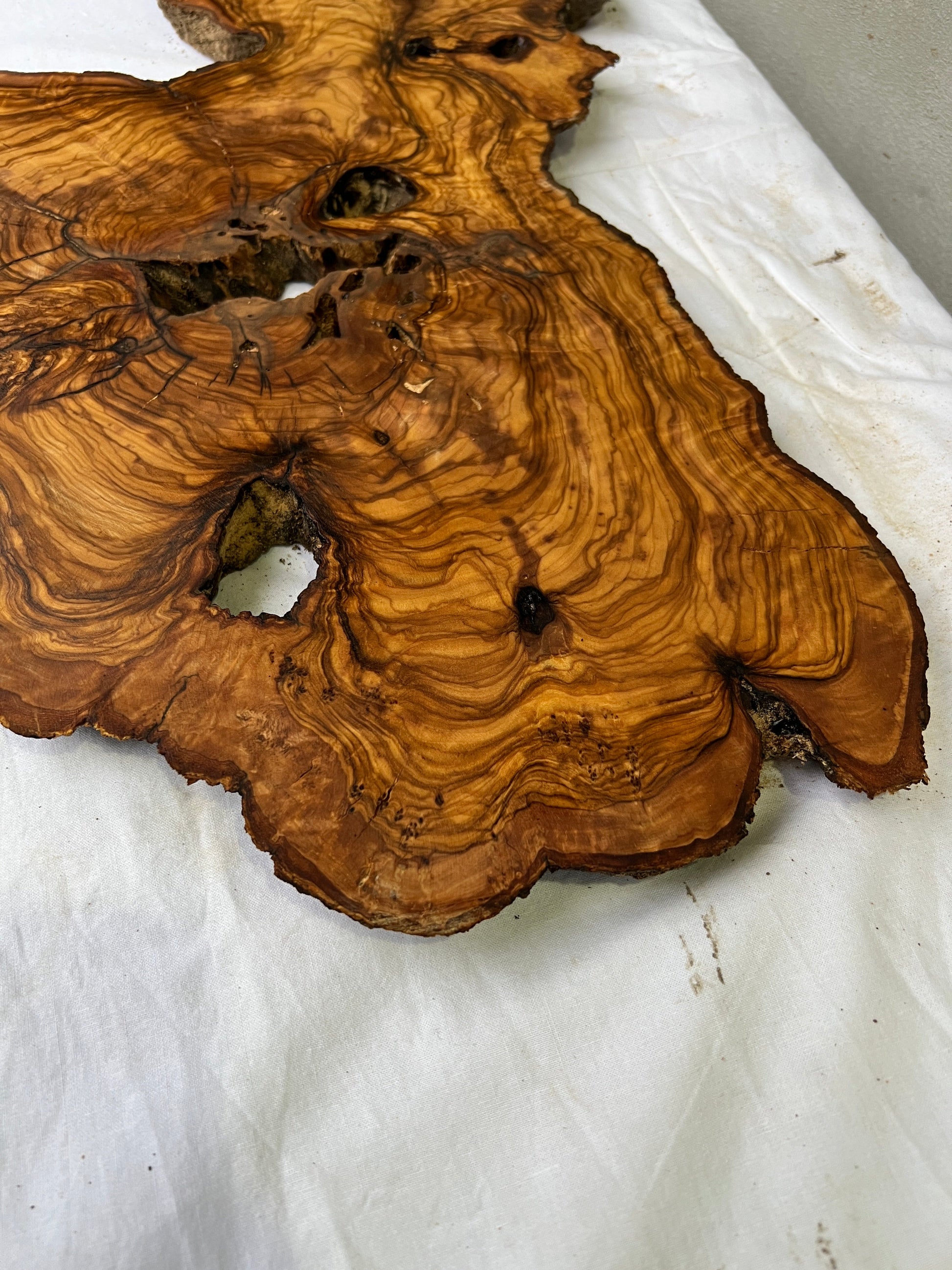 Rare Olive Wood Slab Live Edge 37x60cm | Unique Grain for Epoxy Resin & Coffee Table | Premium Luthier Wood | Sustainable Luxury Art.