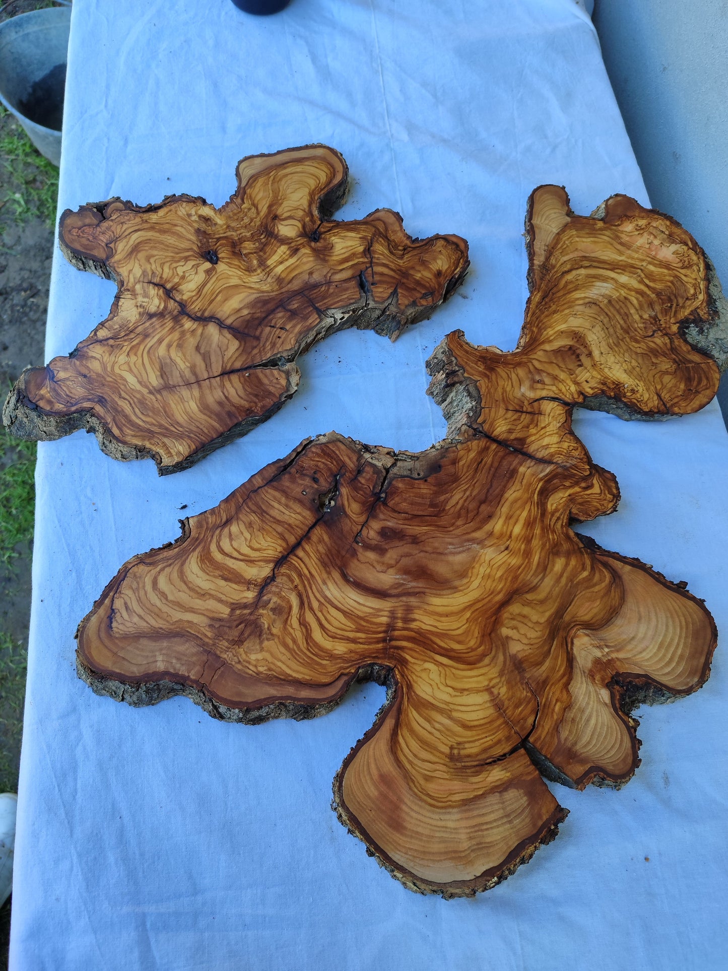 Rare Olive Wood Slab Set 2pcs 53x53cm - Super Dry 3% Moisture - Live Edge for Epoxy Resin, Guitar Body & Luxury Decor - Unique Grain.