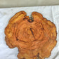 Rare Olive Wood Slab – Live Edge Unique Grain Sustainable Luxury – 40x42x2.5cm Premium Natural Luster - Olive Generic