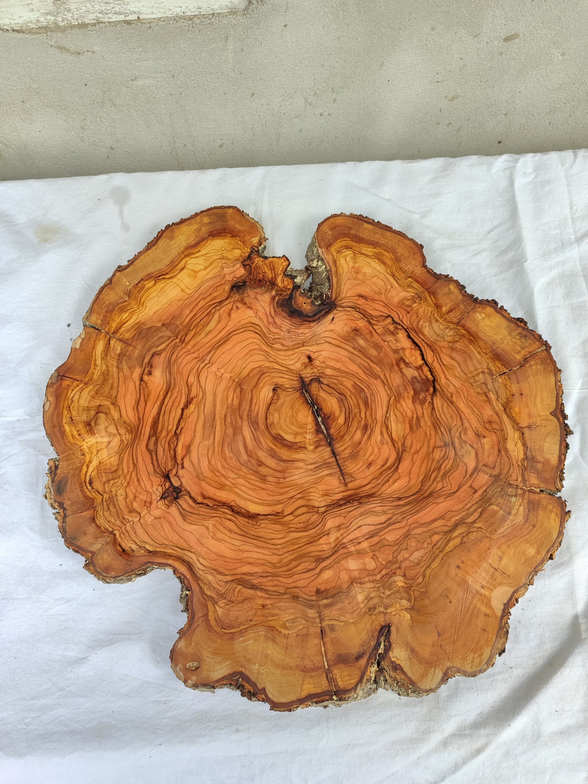 Rare Olive Wood Slab – Live Edge Unique Grain Sustainable Luxury – 40x42x2.5cm Premium Natural Luster - Olive Generic