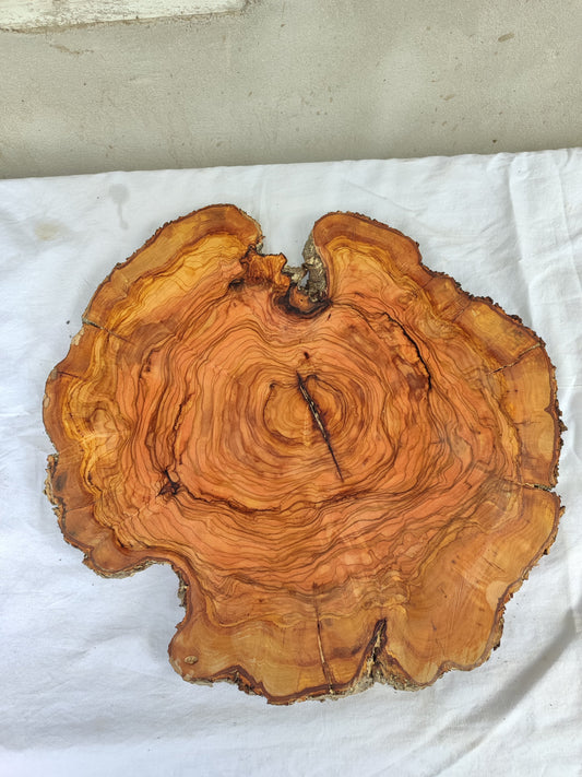 Rare Olive Wood Slab – Live Edge Unique Grain Sustainable Luxury – 40x42x2.5cm Premium Natural Luster - Olive Generic