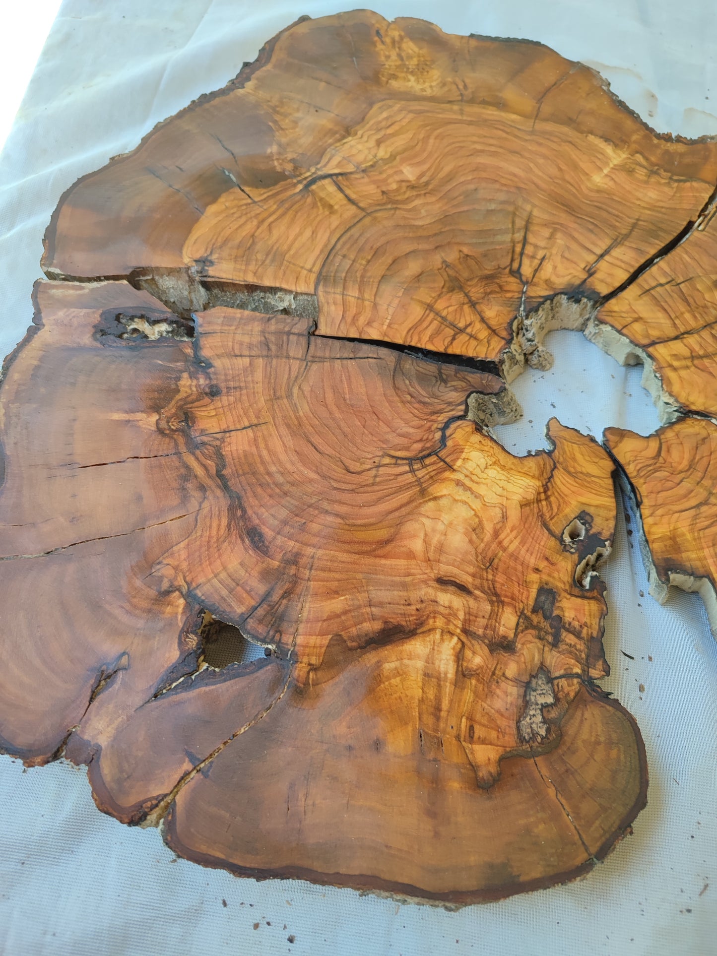 Rare Olive Wood Live Edge Slab – 37x40x2.5 cm, Unique Grain, Sustainable Luxury for Epoxy & Furniture