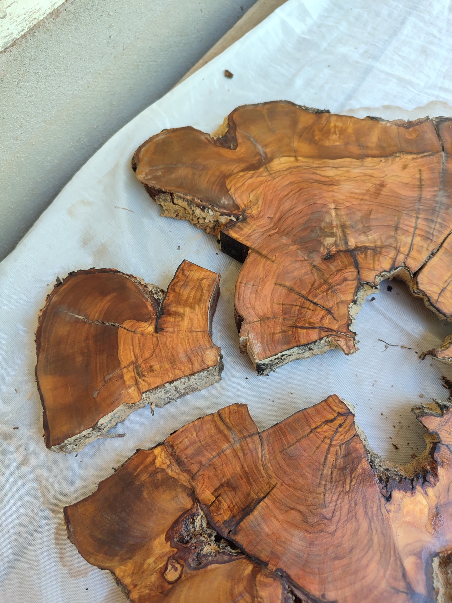Rare Olive Wood Slab – Live Edge, Unique Grain, Sustainable Luxury | 40x44x2.5 cm