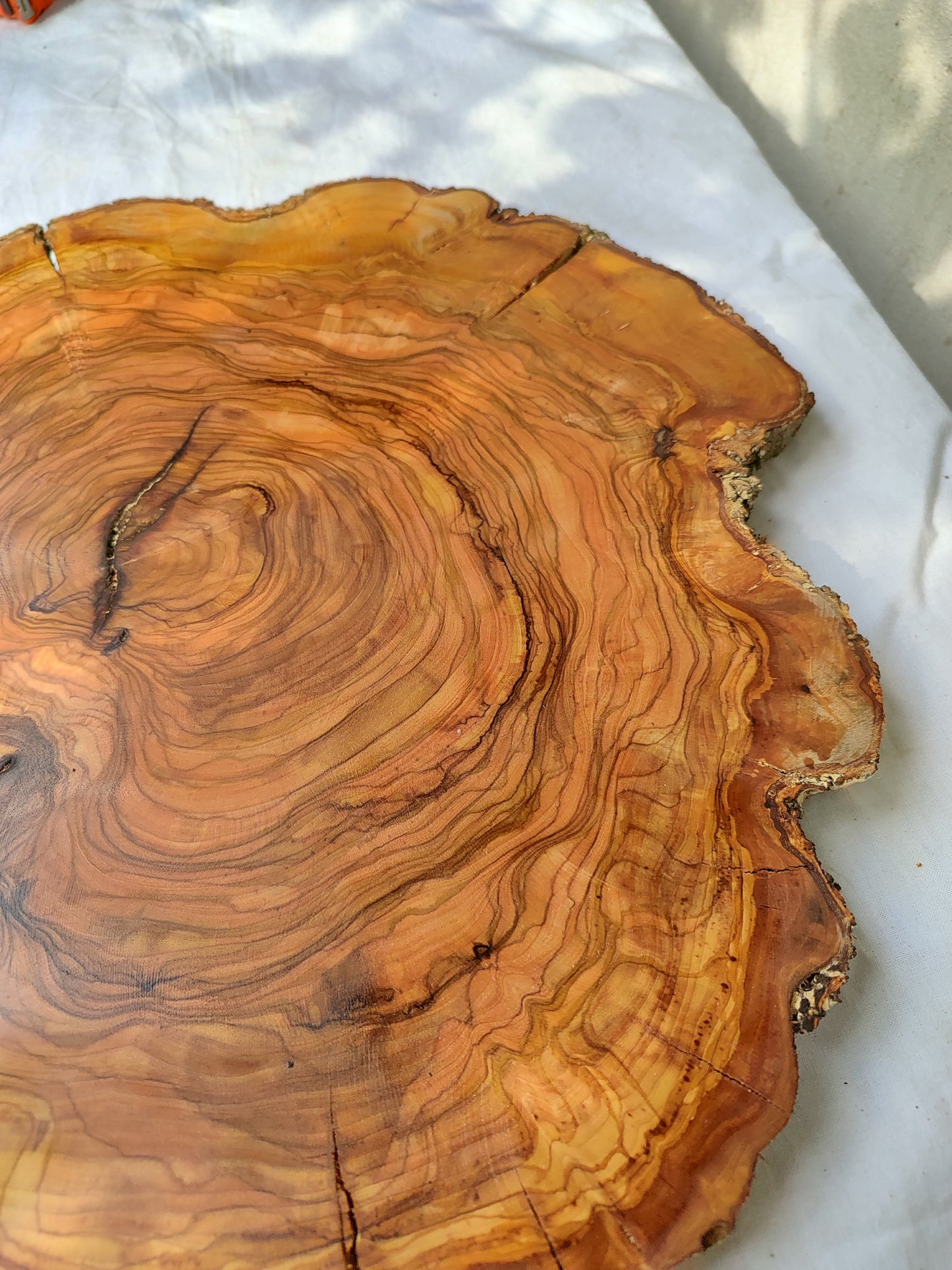 Rare Olive Wood Slab – Live Edge Unique Grain Sustainable Luxury for Epoxy Table & Craft - Olive Generic