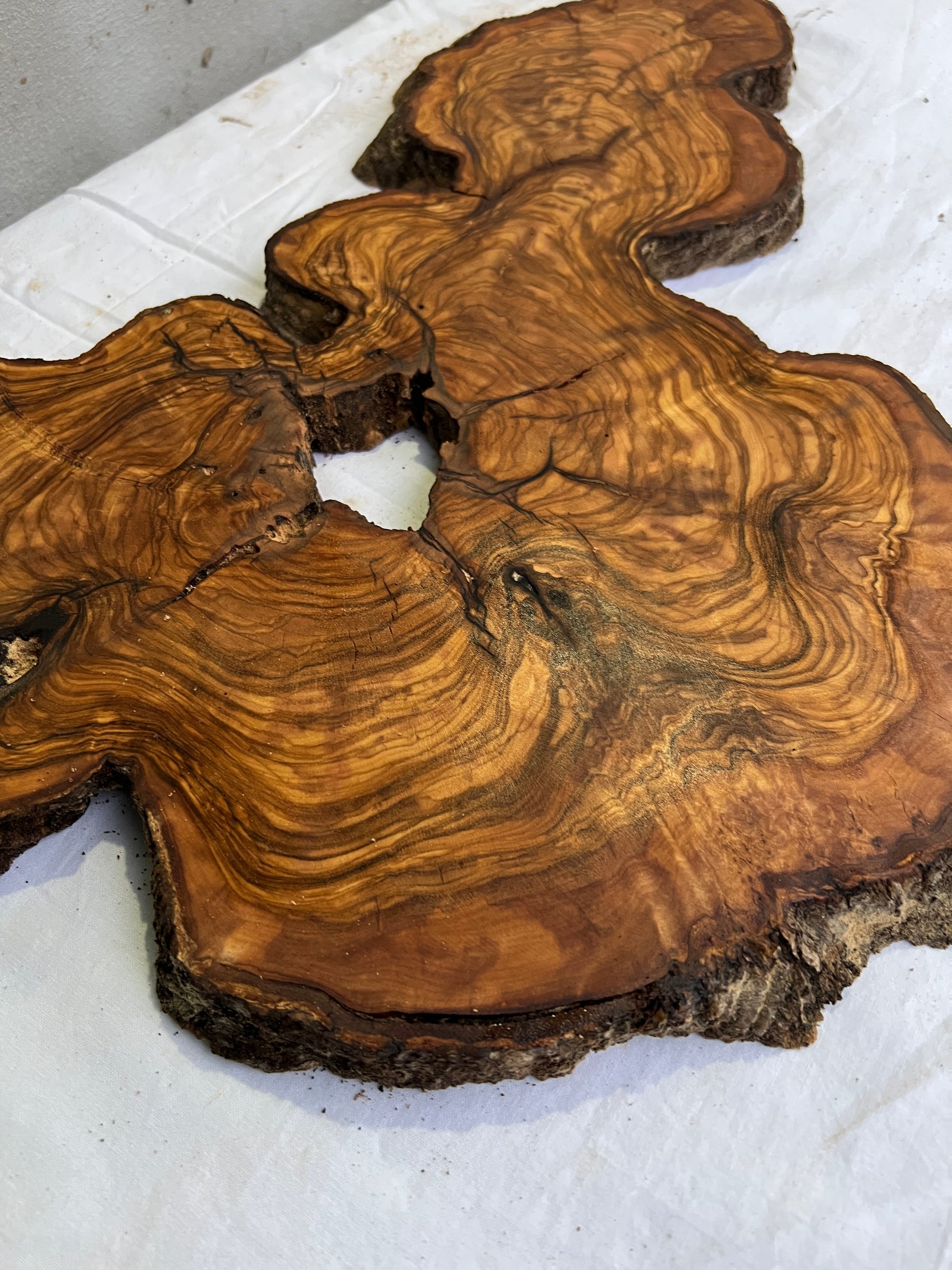 Rare Olive Wood Slab 31x55cm for Epoxy Resin & Guitar Body | Live Edge Sustainable Luxury | Unique Grain Luthier Wood | Super Dry DIY Art.