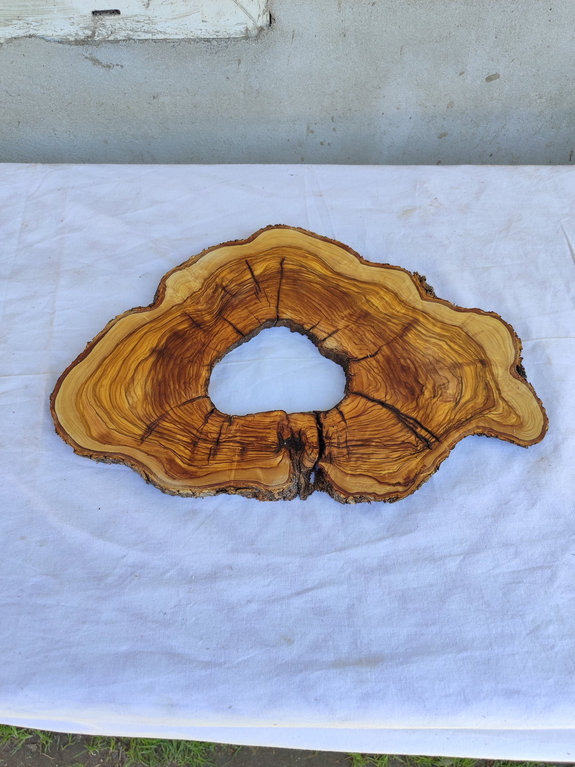 Rare Olive Wood Live Edge Slab 26x38cm | Ultra Dry 3% Moisture | Unique Grain for Epoxy Resin & Luthier Art
