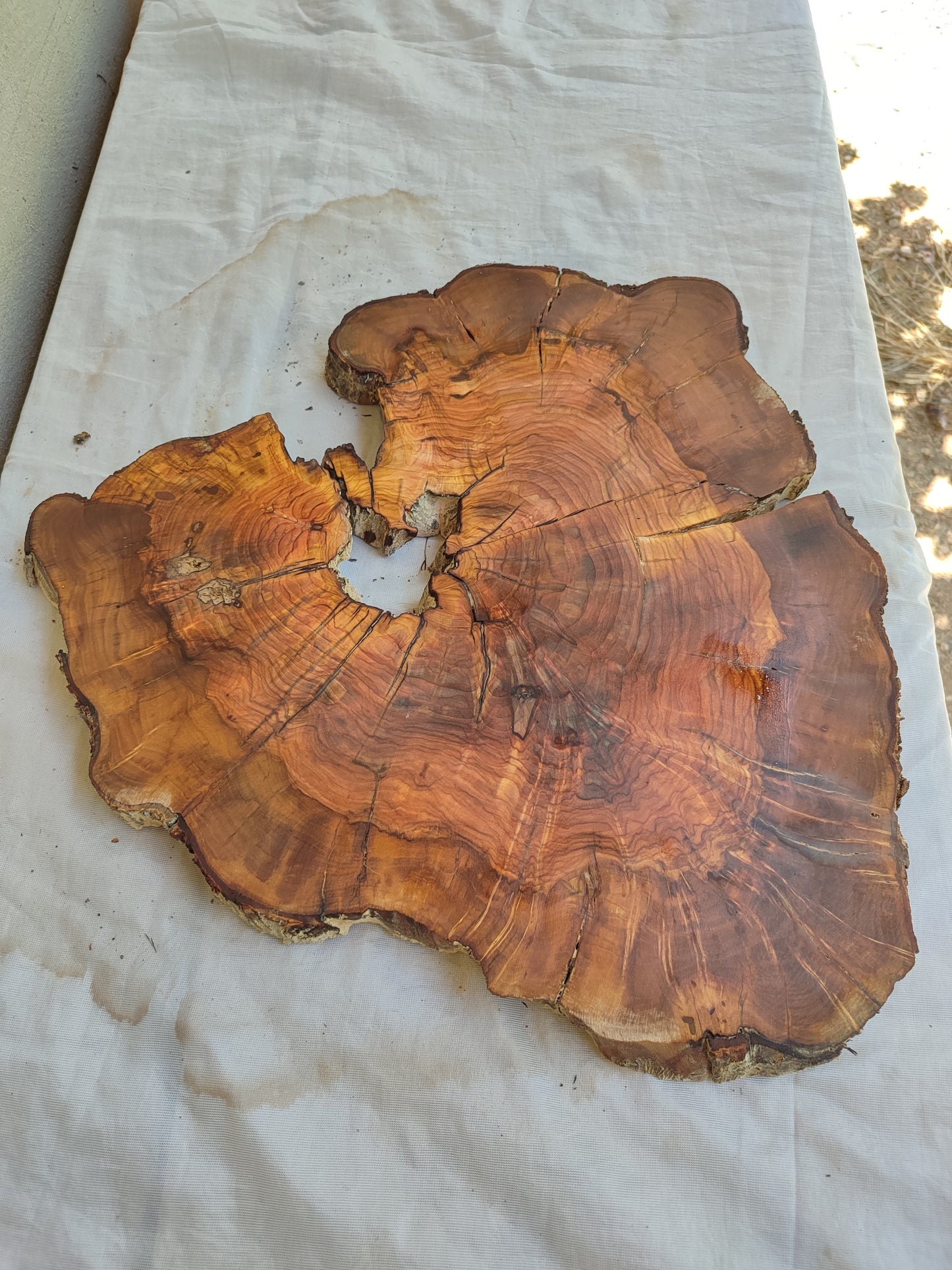 Rare Live Edge Olive Wood Slab – 37x43x2.5 cm, Natural Luster, Unique Grain, Sustainable Luxury for Epoxy & Art