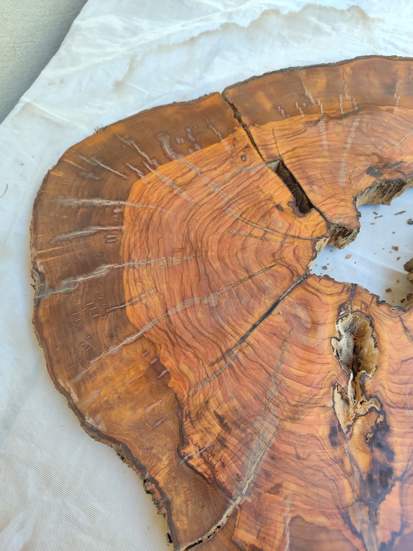 Rare Olive Wood Live Edge Slab – Unique Grain, Premium Natural Luster, 36x38x2.5 cm – Sustainable Luxury for Epoxy & Artisan Crafts
