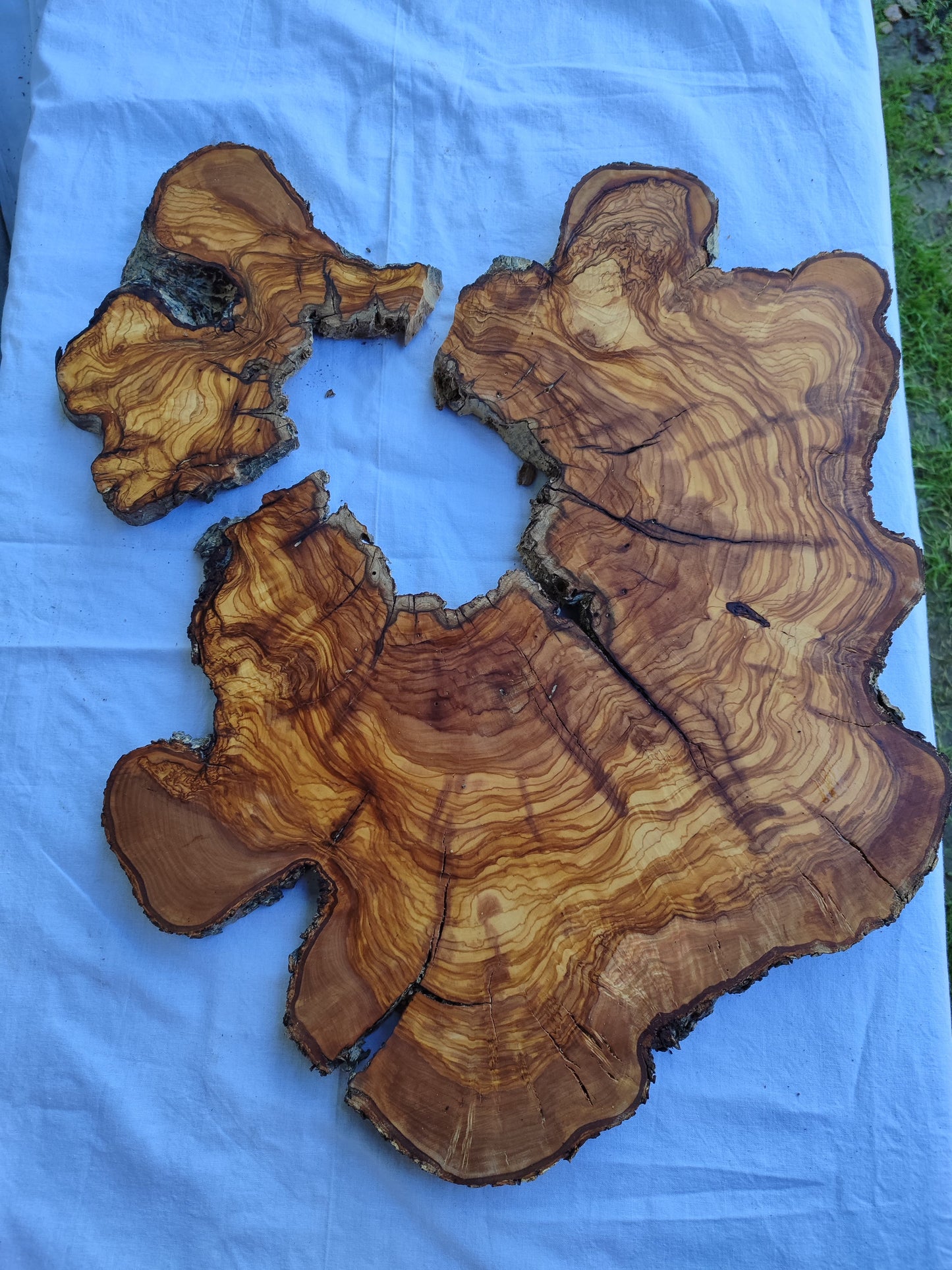Rare Huge Live Edge Olive Wood Burl Slab 48x52cm - Premium Dry Exotic Lumber for Epoxy Resin Art, Guitar Body & Luxury Coffee Table DIY.