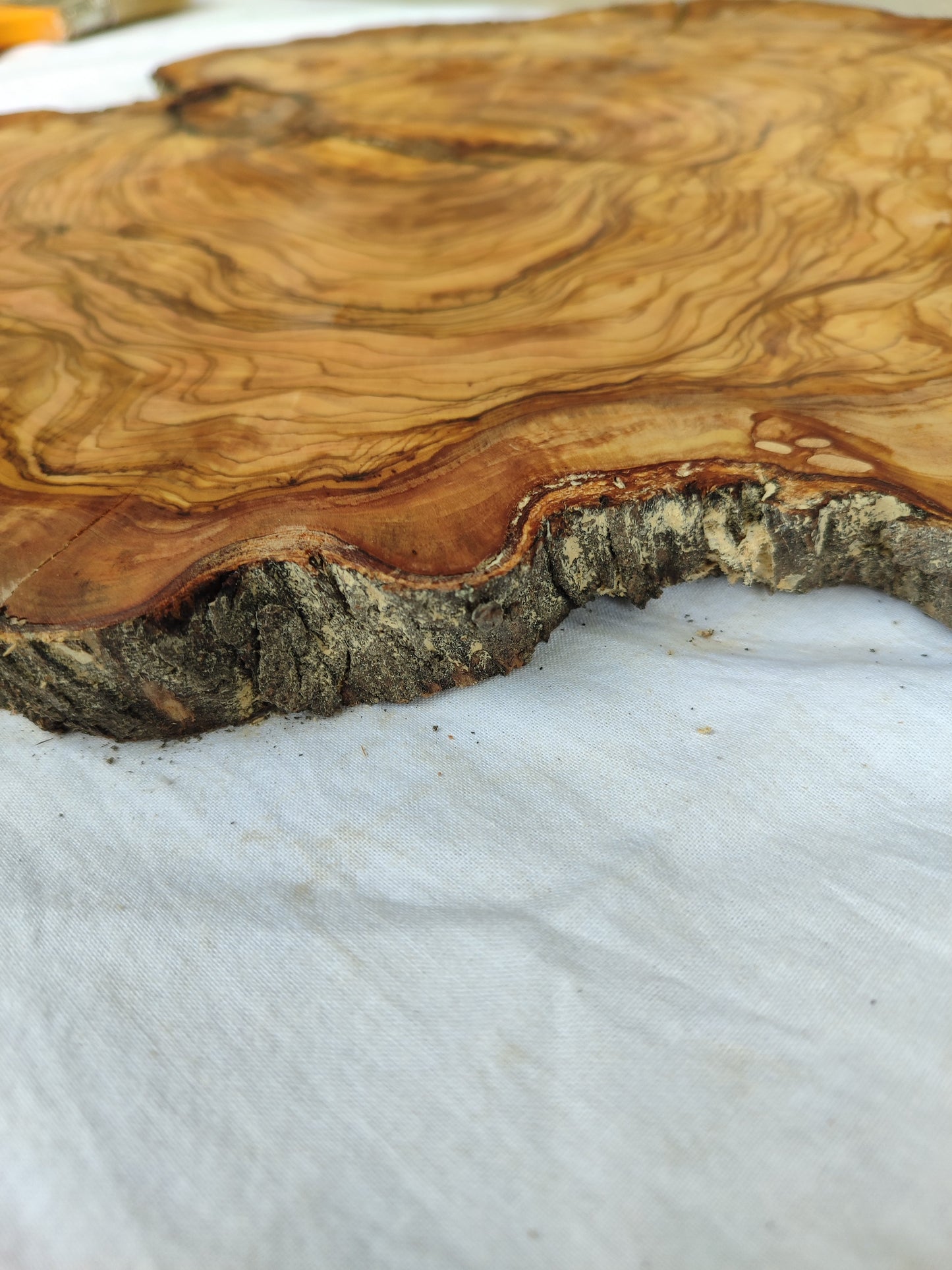 Rare Olive Wood Live Edge Slab – 42x43x2.5 cm Unique Grain Sustainable Luxury Premium Natural Finish Epoxy Friendly