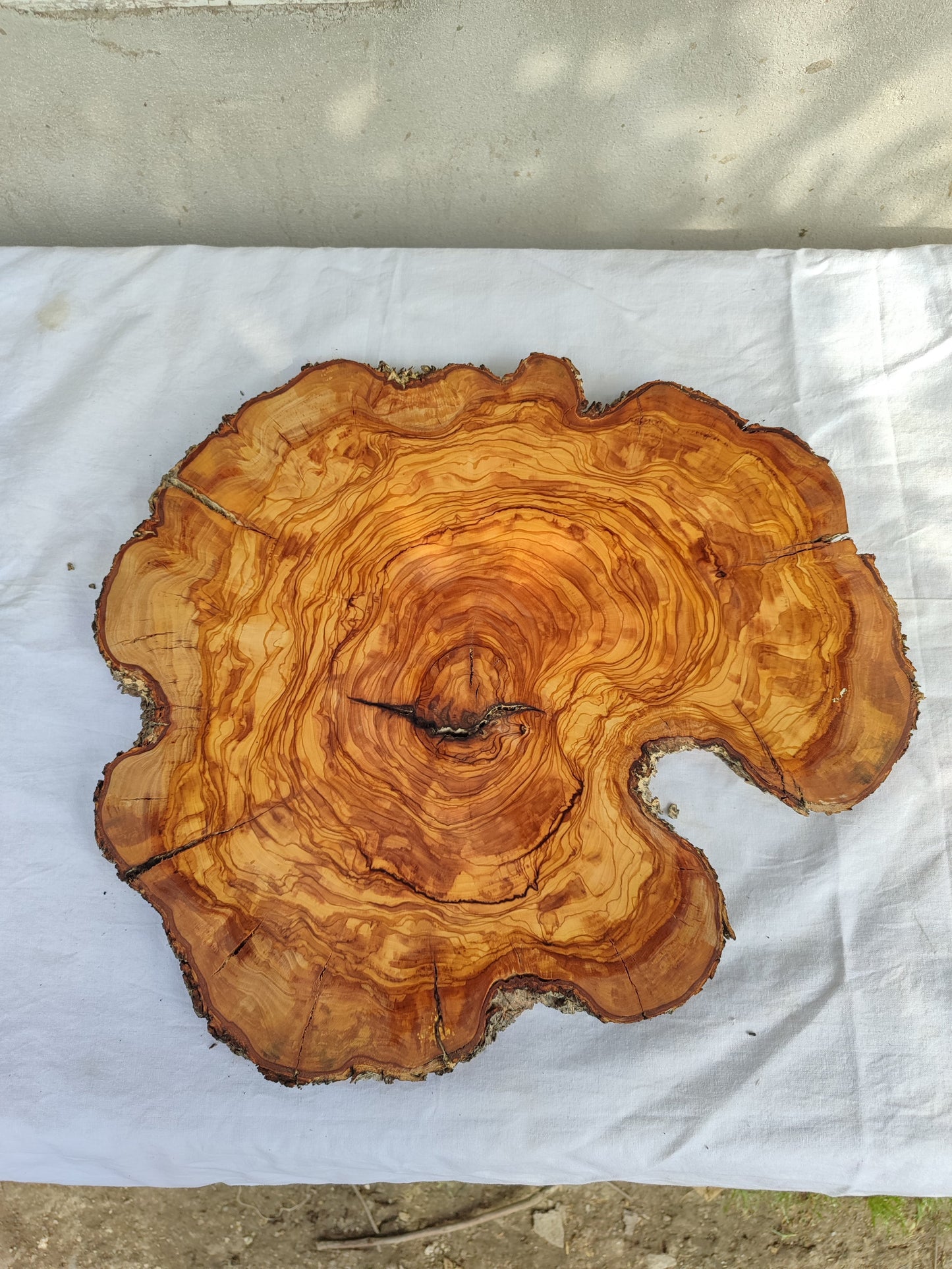 Rare Olive Wood Live Edge Slab – Sustainable Luxury Unique Grain 37x40x2.5cm Premium Natural Finish - Olive Generic