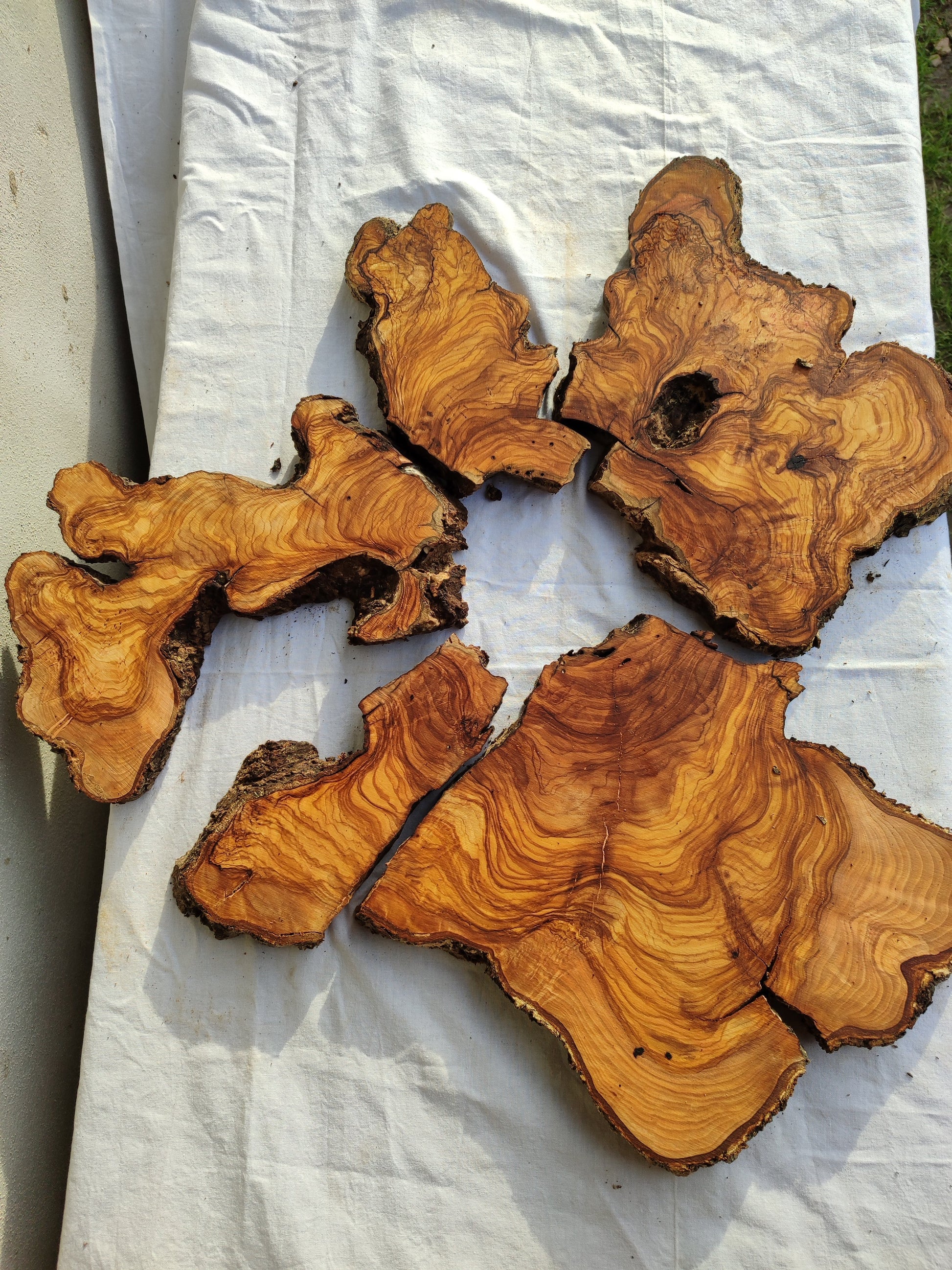 Rare Olive Wood Slab 23"x23" | Live Edge Epoxy Table Top | Premium Luthier Wood | Dry Exotic Lumber | Unique Grain DIY Art 58x59cm.