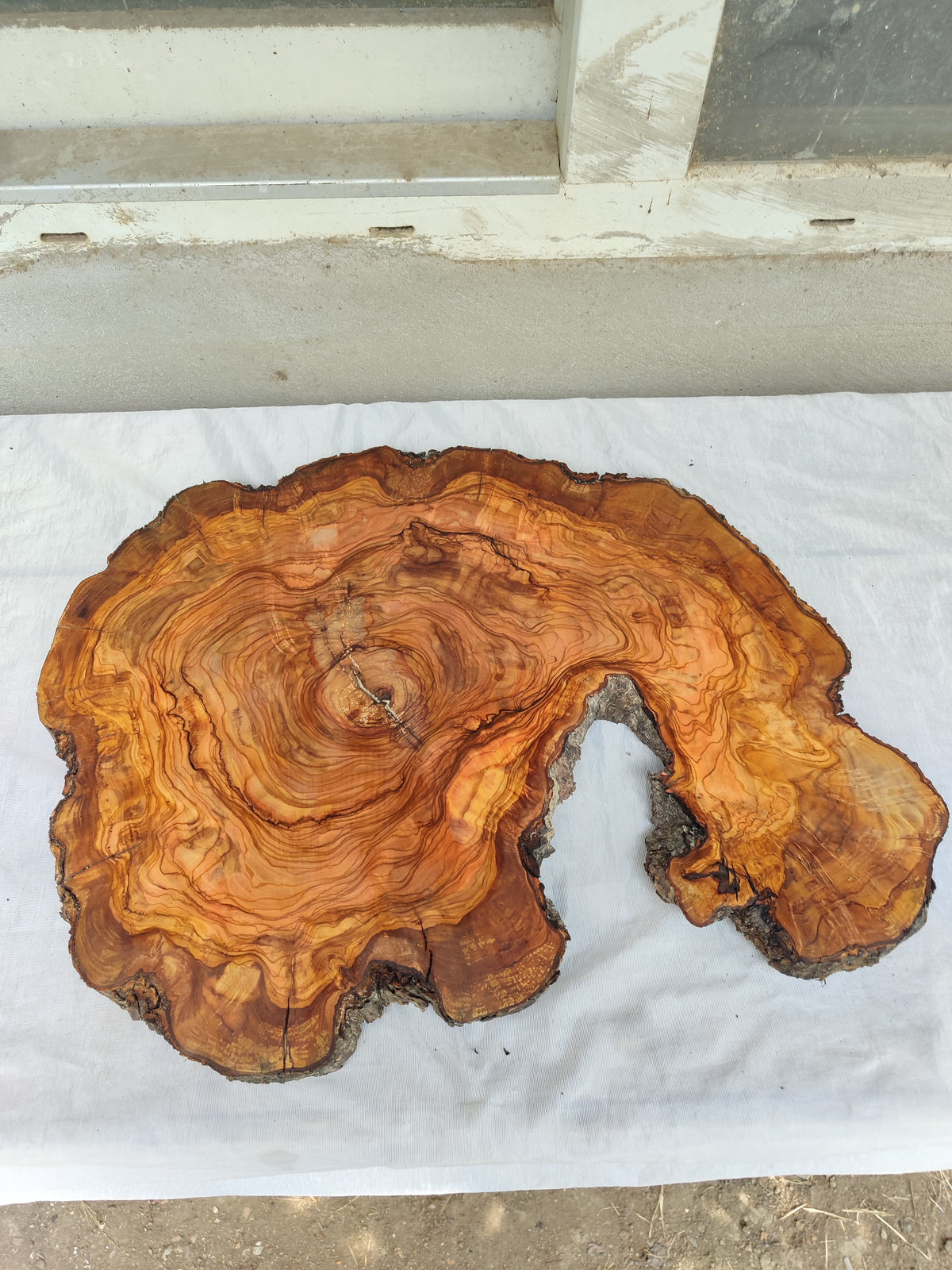 Live Edge Olive Wood Slab 39x53cm Epoxy Resin Coffee Table