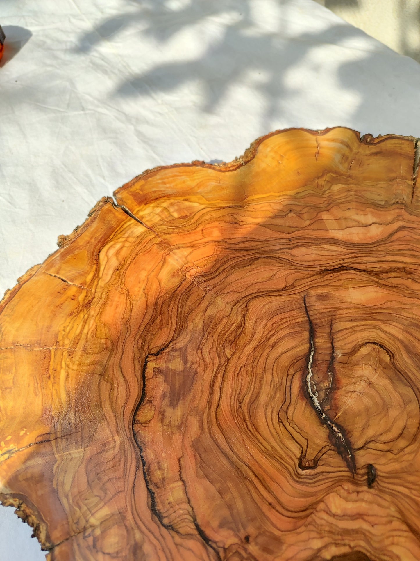 Rare Olive Wood Slab – Live Edge Unique Grain Sustainable Luxury for Epoxy Table & Craft - Olive Generic