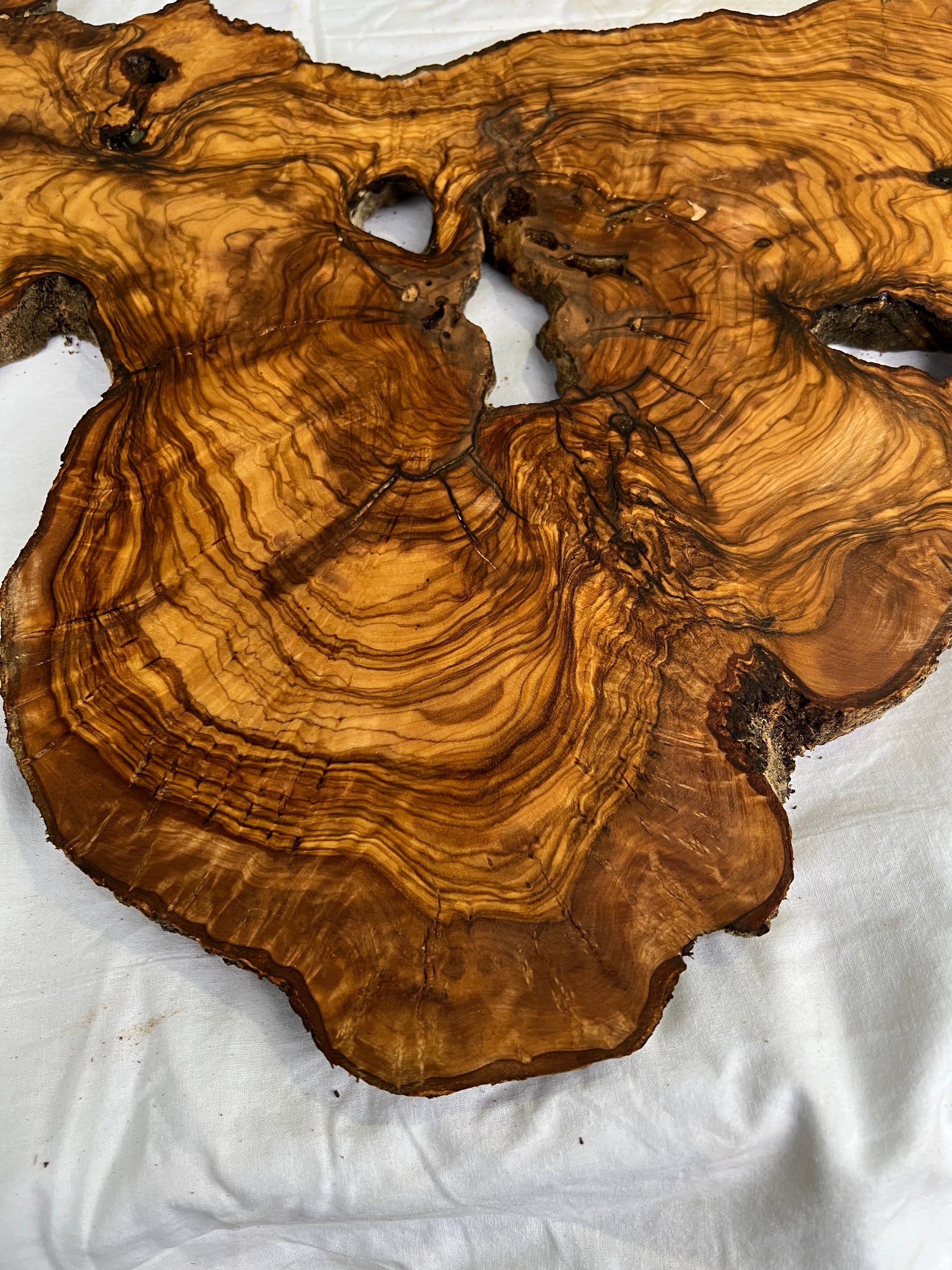 Rare Olive Wood Slab Live Edge 37x60cm | Unique Grain for Epoxy Resin & Coffee Table | Premium Luthier Wood | Sustainable Luxury Art.